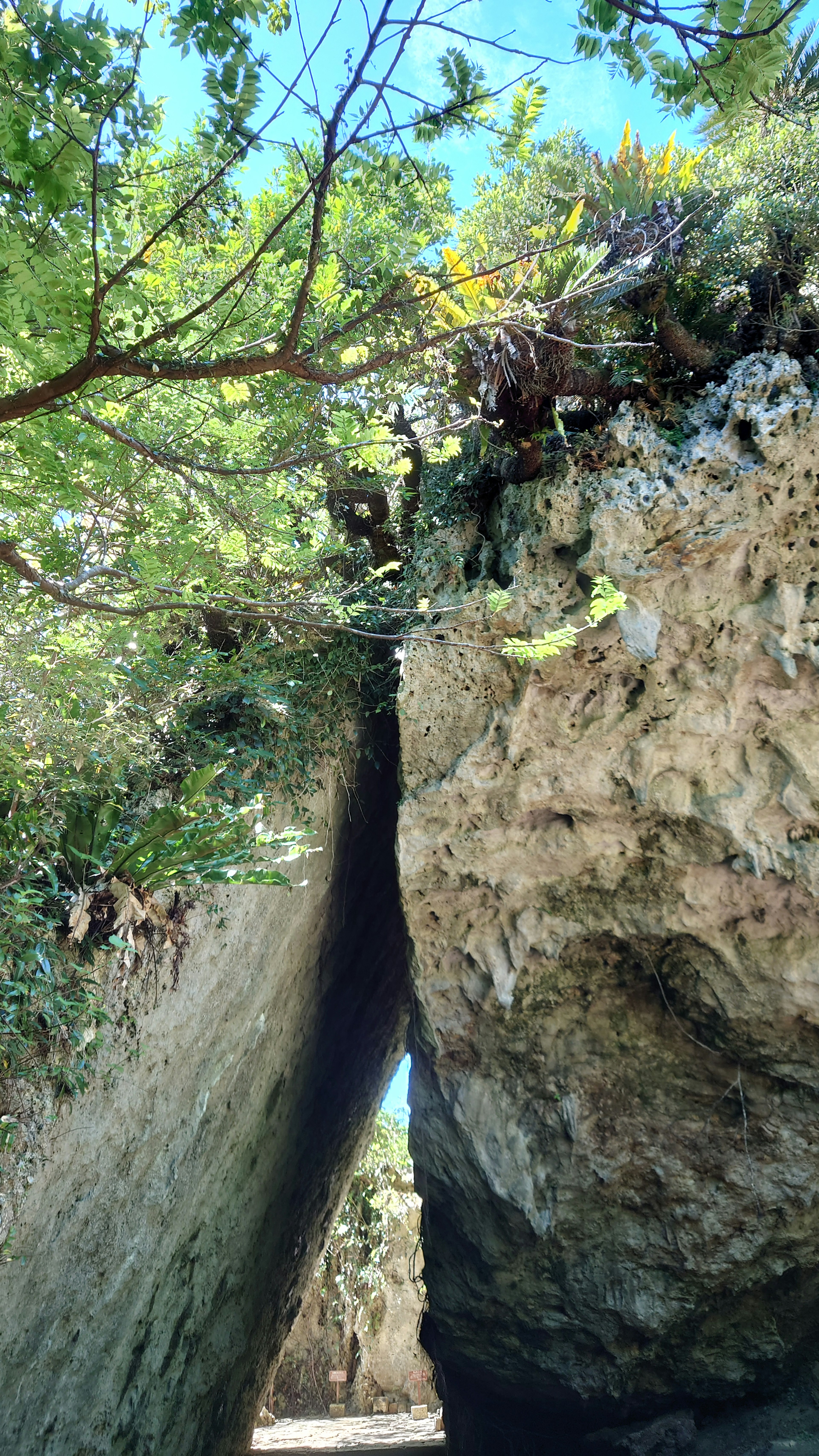 Blick auf grüne Bäume und blauen Himmel zwischen zwei großen Felsen