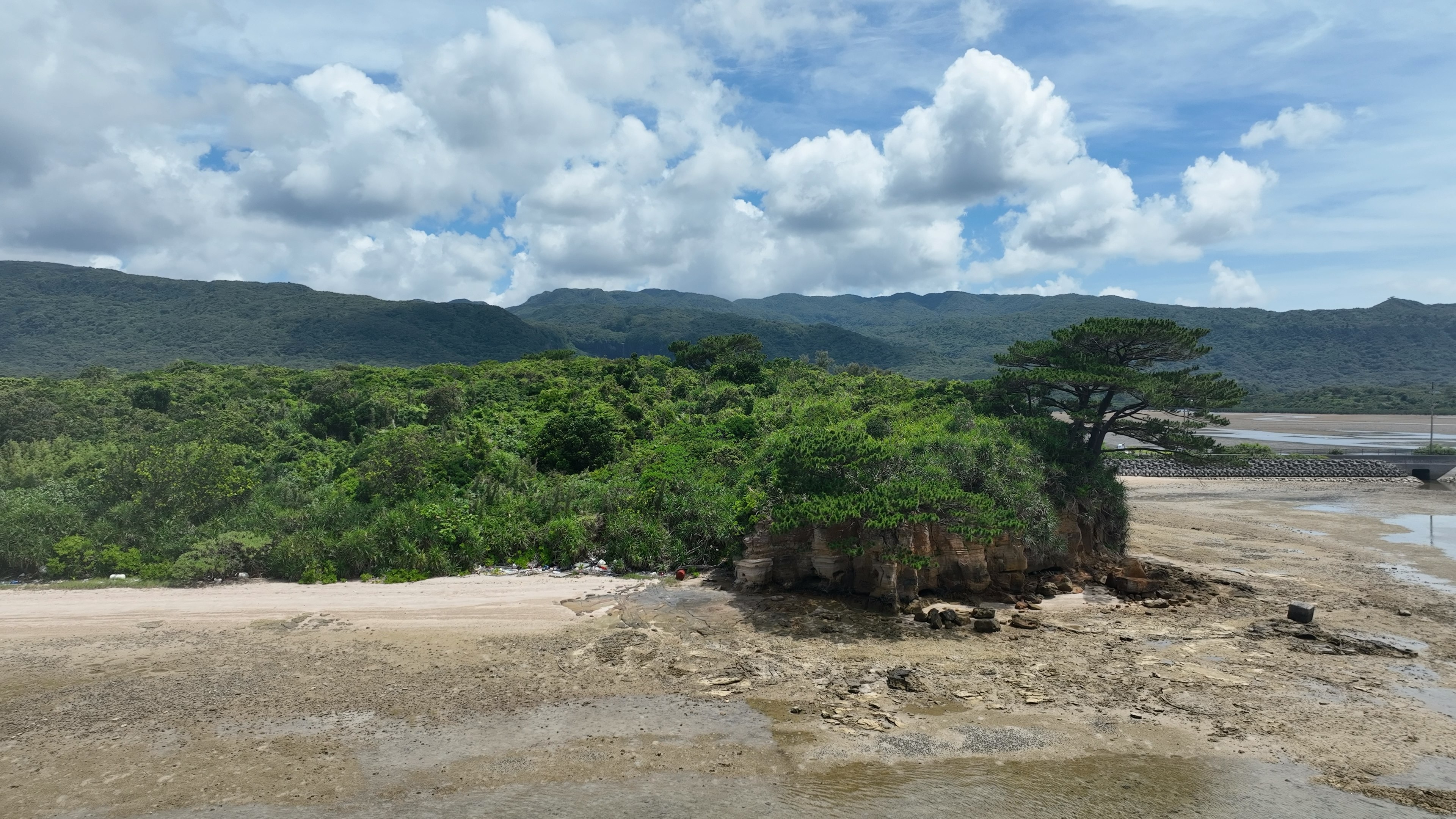 Lush green island landscape under a blue sky with white clouds