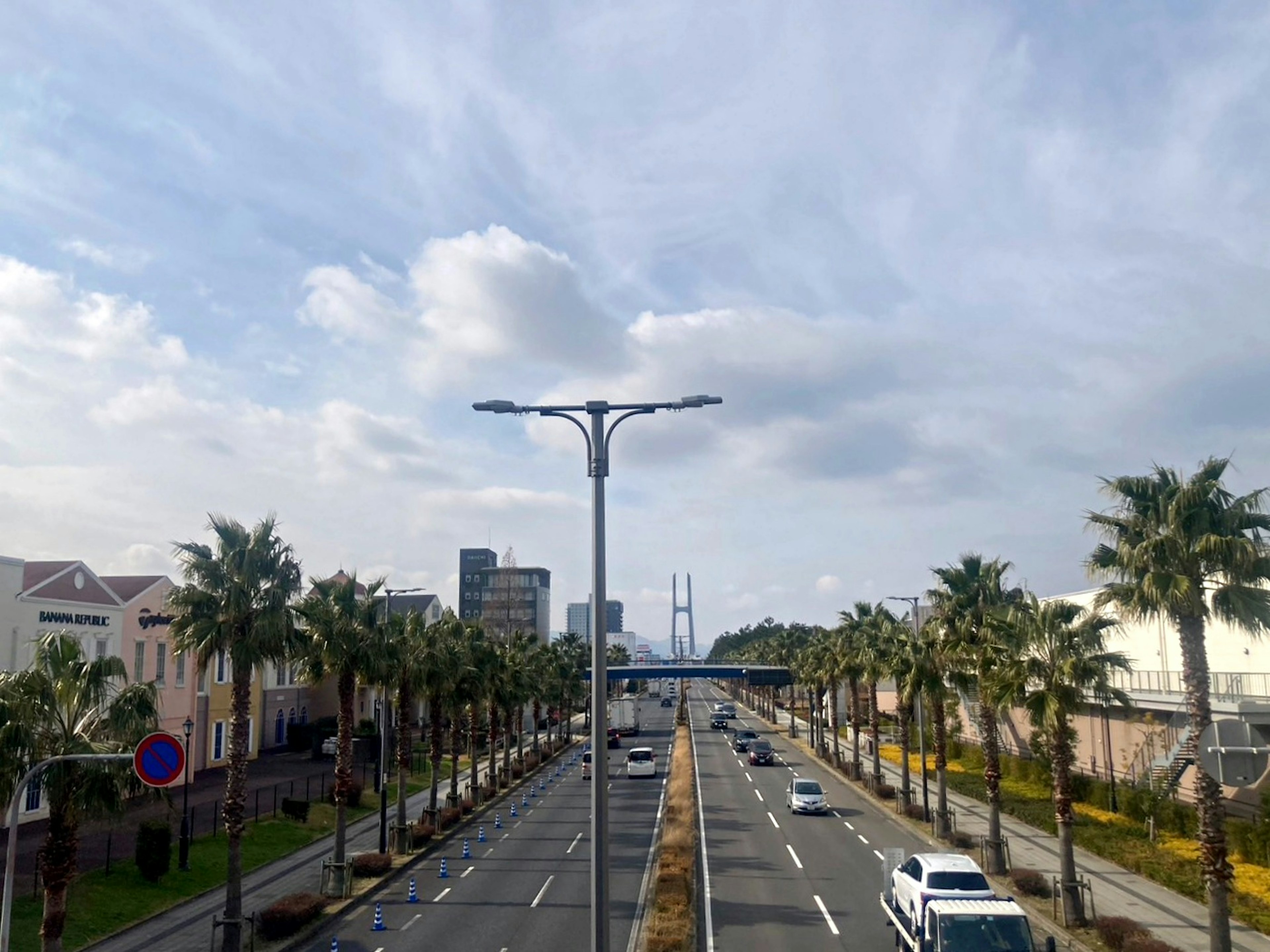 Vue d'une rue bordée de palmiers et de bâtiments