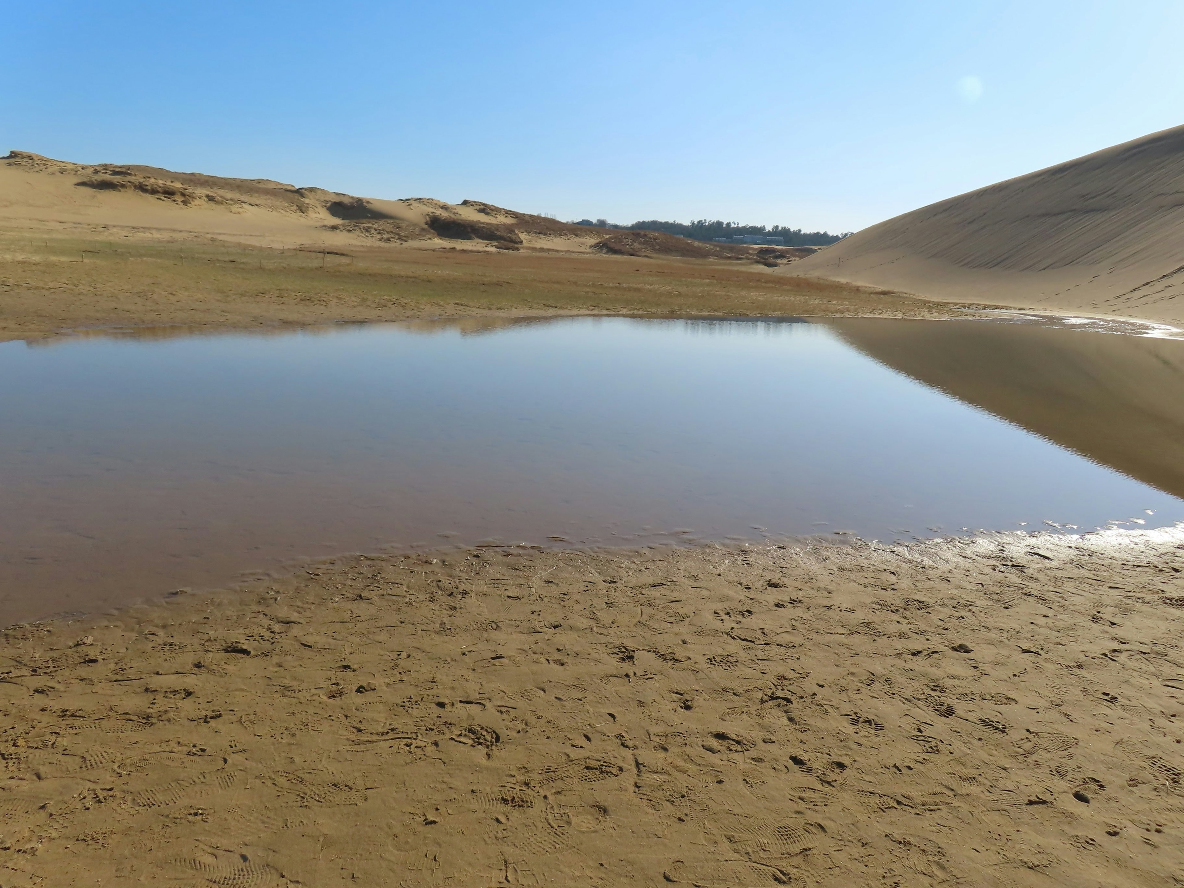 Pond in a desert landscape with sand dunes