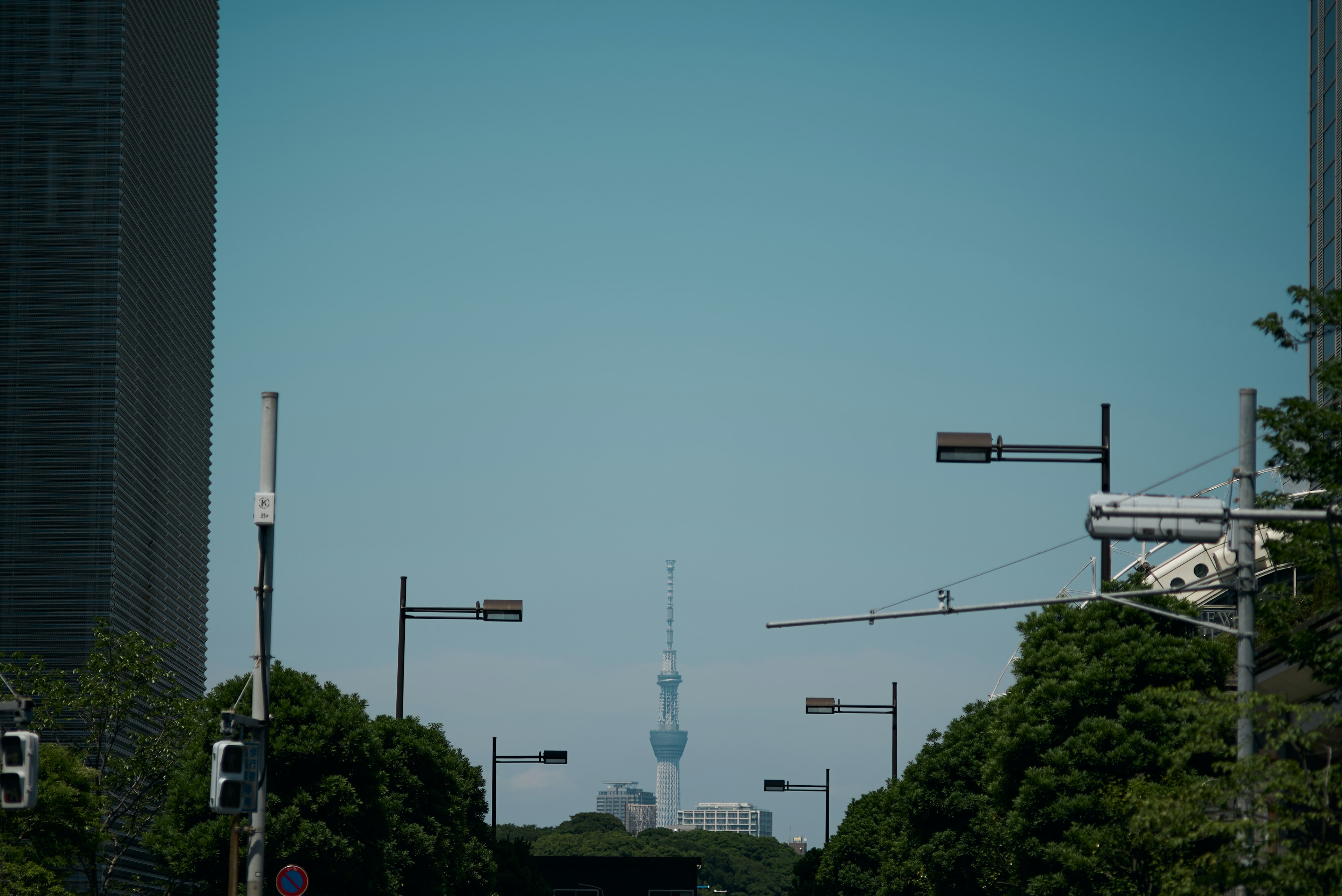 青空の下に見える東京スカイツリーと高層ビルの景観