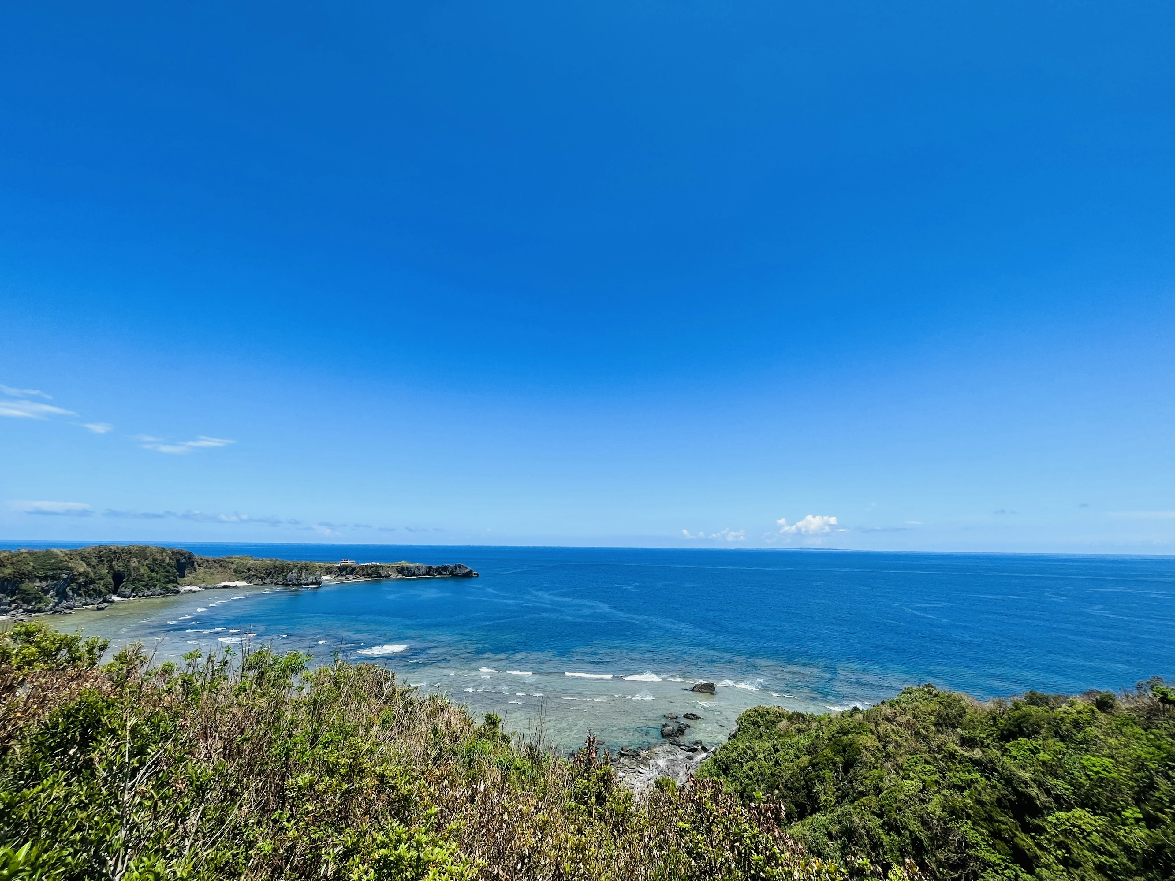 寬廣的藍色海洋和天空，海岸線旁綠意盎然