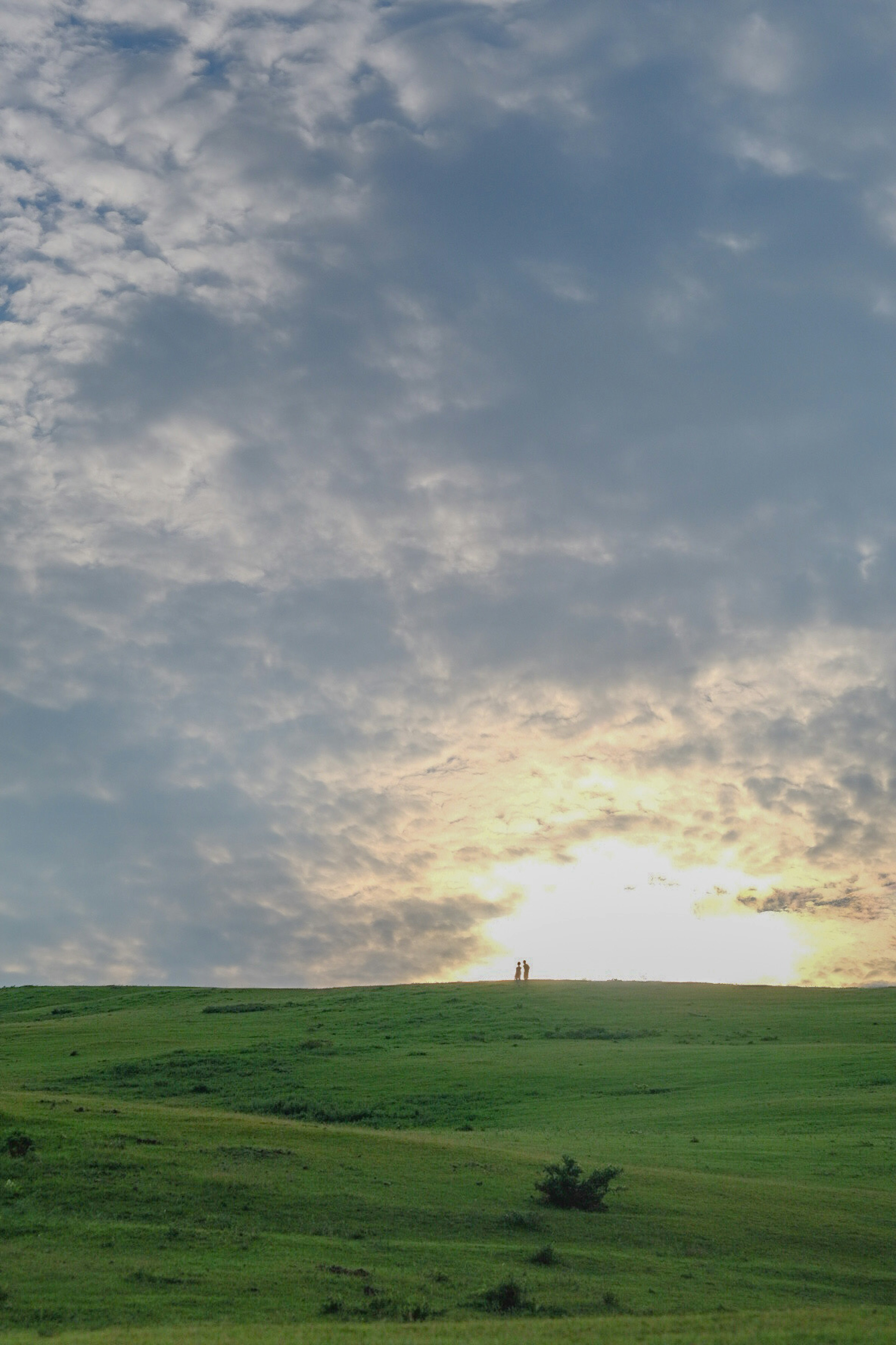 緑の丘に沈む夕日と曇り空の風景