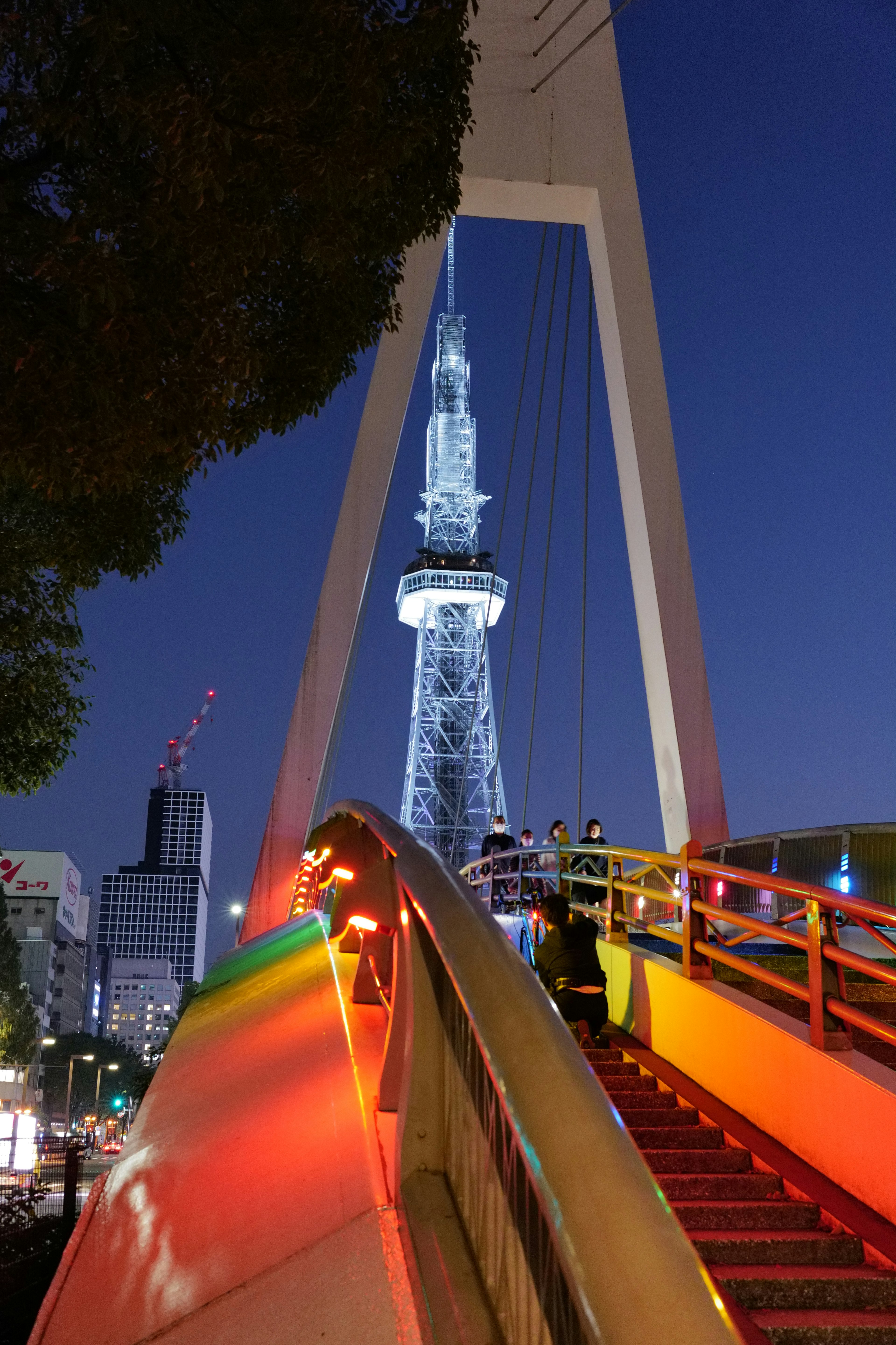 東京スカイツリーが夜空に輝く色鮮やかな橋の上からの眺め