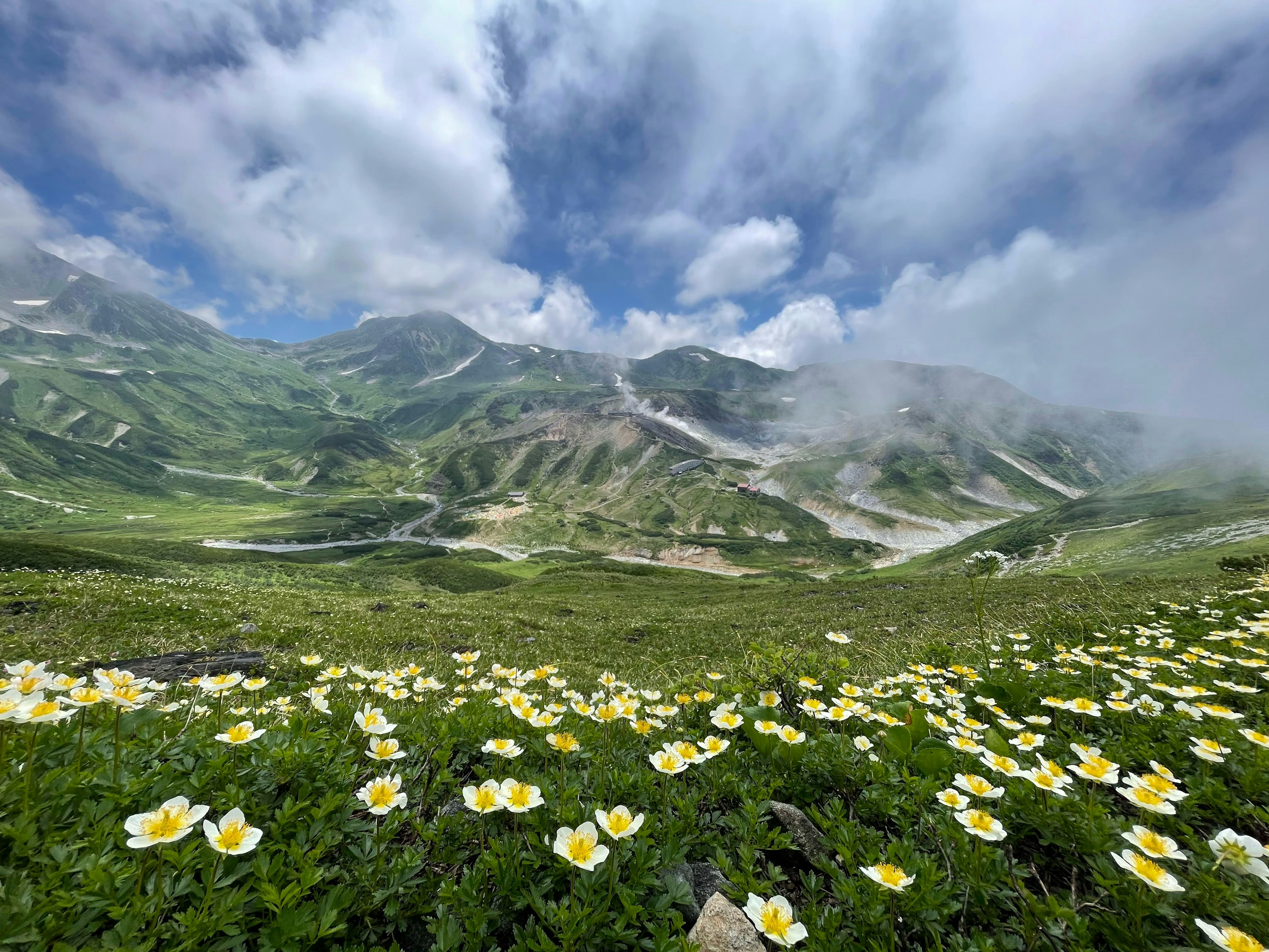 美しい山々と黄色い花が広がる風景