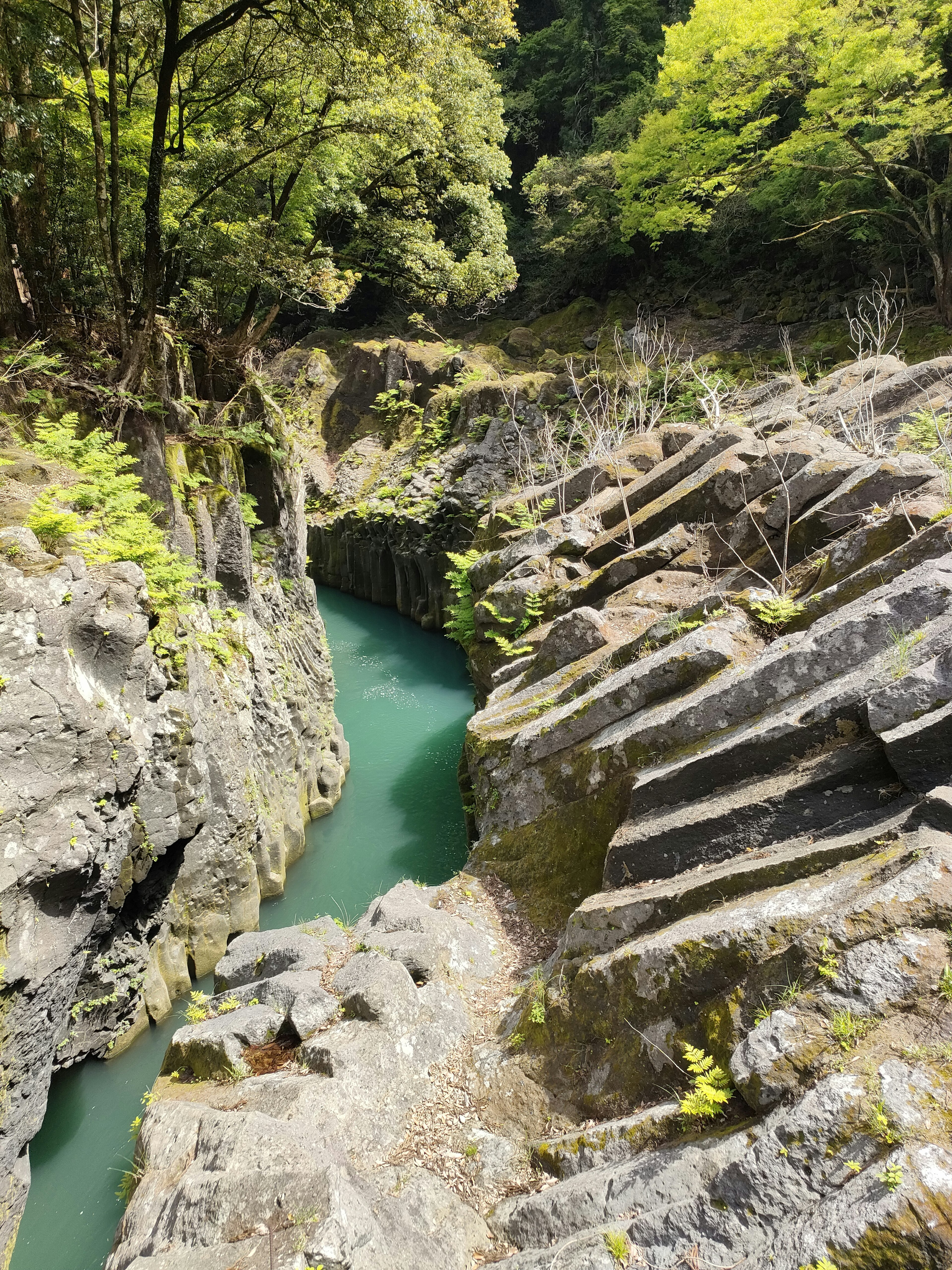 緑豊かな森に囲まれた渓谷の風景、岩の層と青い水の流れ