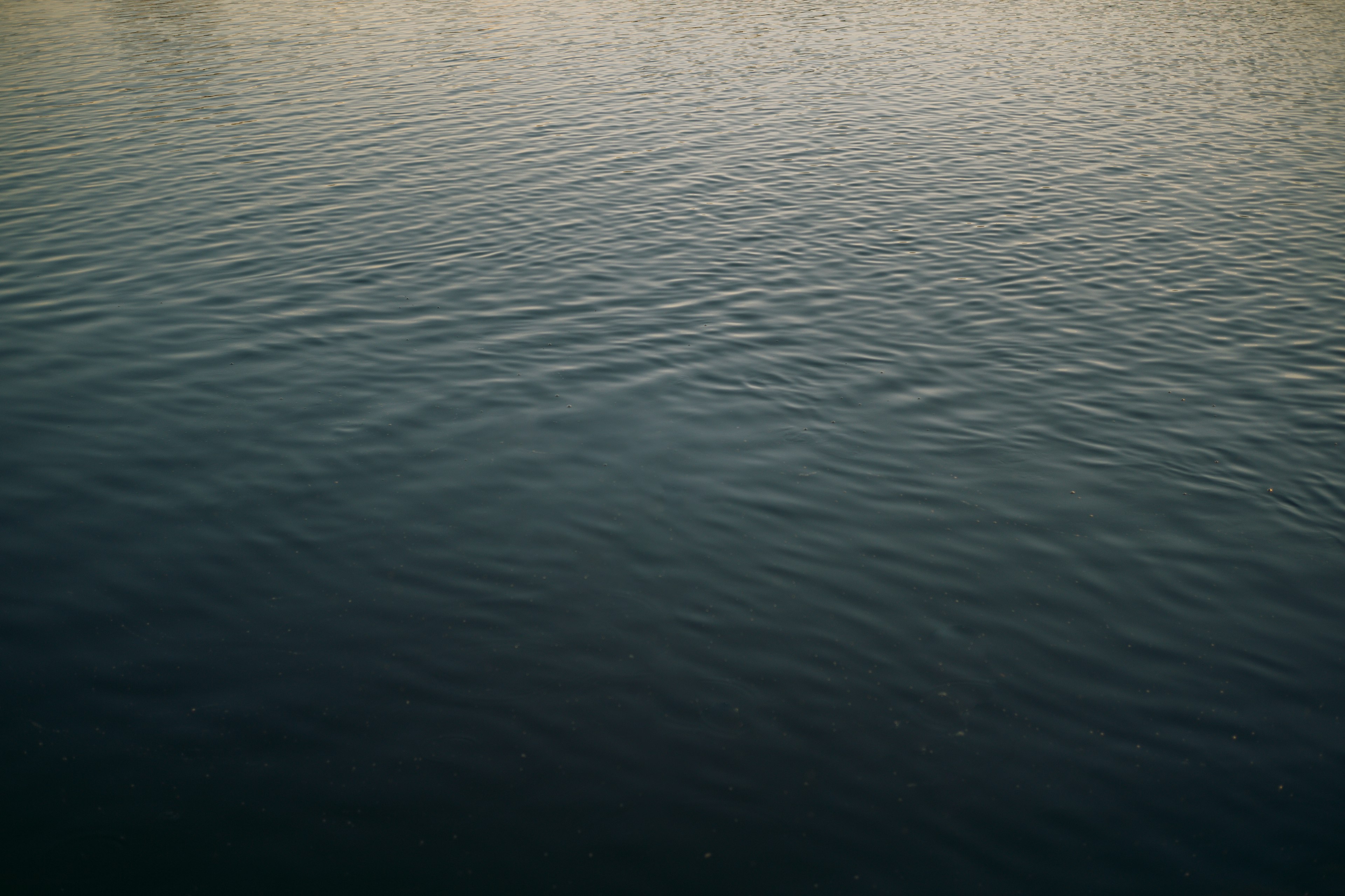 Calm water surface reflecting soft hues of the landscape