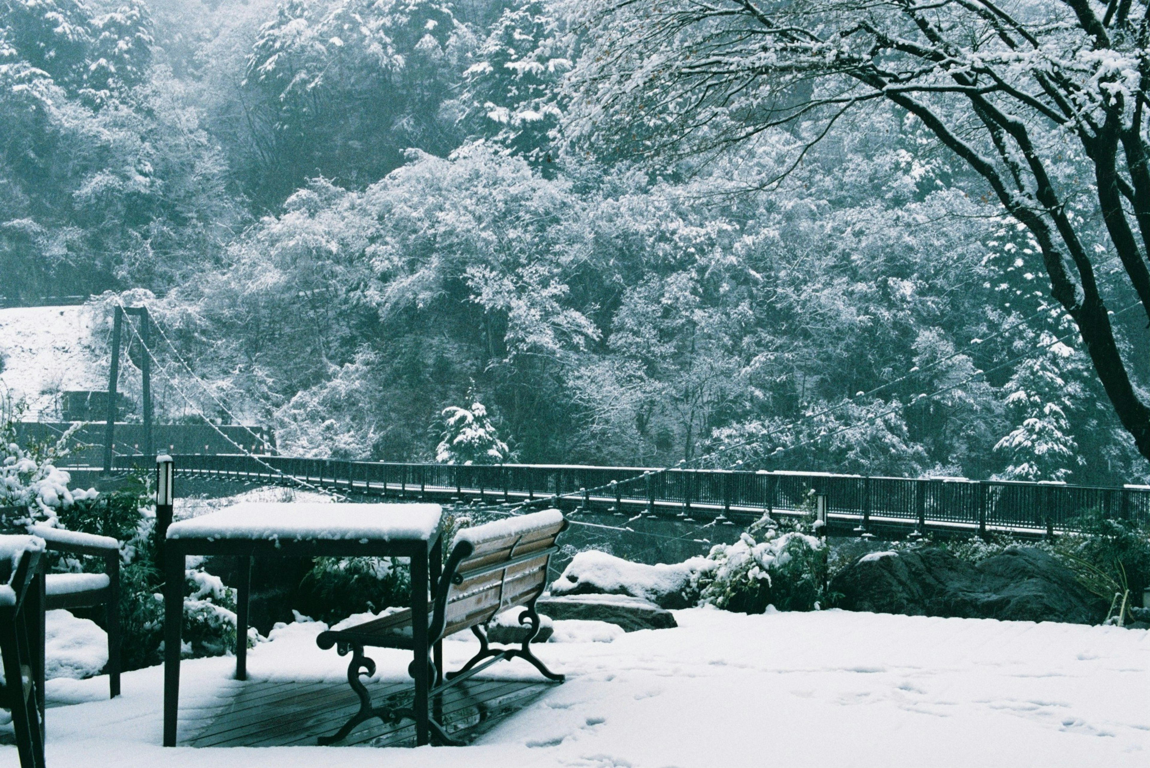 Ponte e alberi coperti di neve in un paesaggio sereno