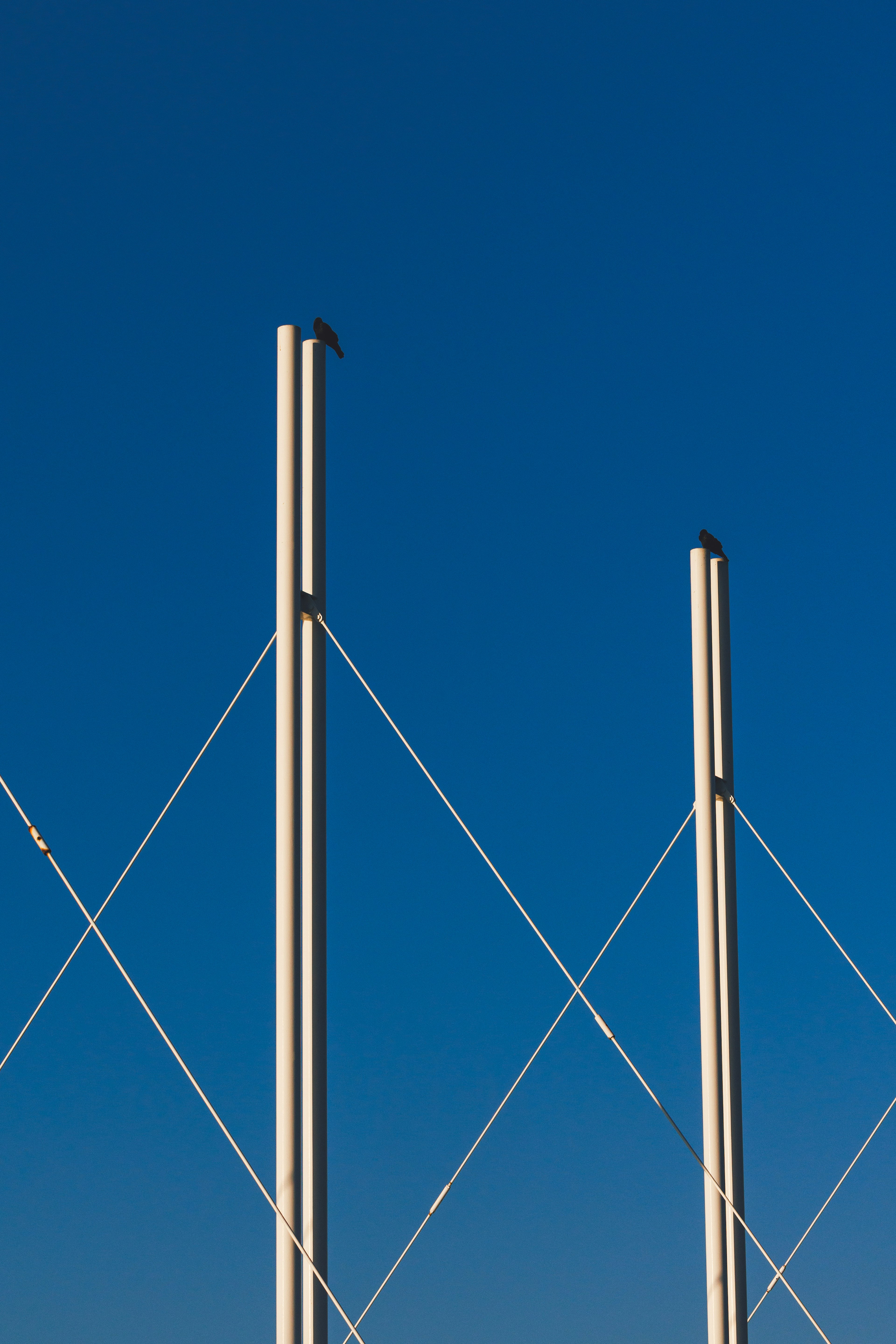 Postes blancos y estructura de alambre contra un cielo azul