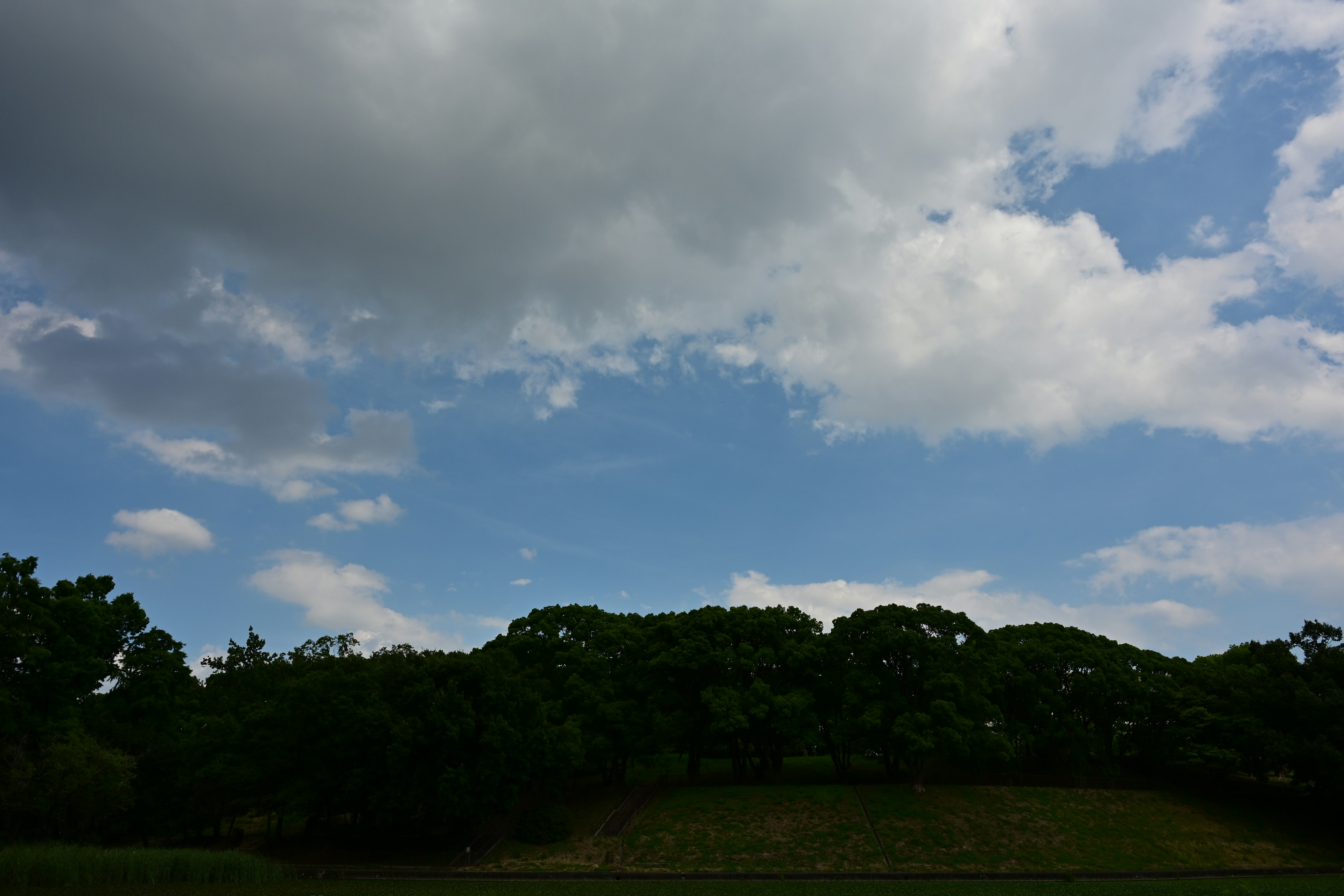 Vista escénica del cielo azul con nubes y árboles verdes al fondo