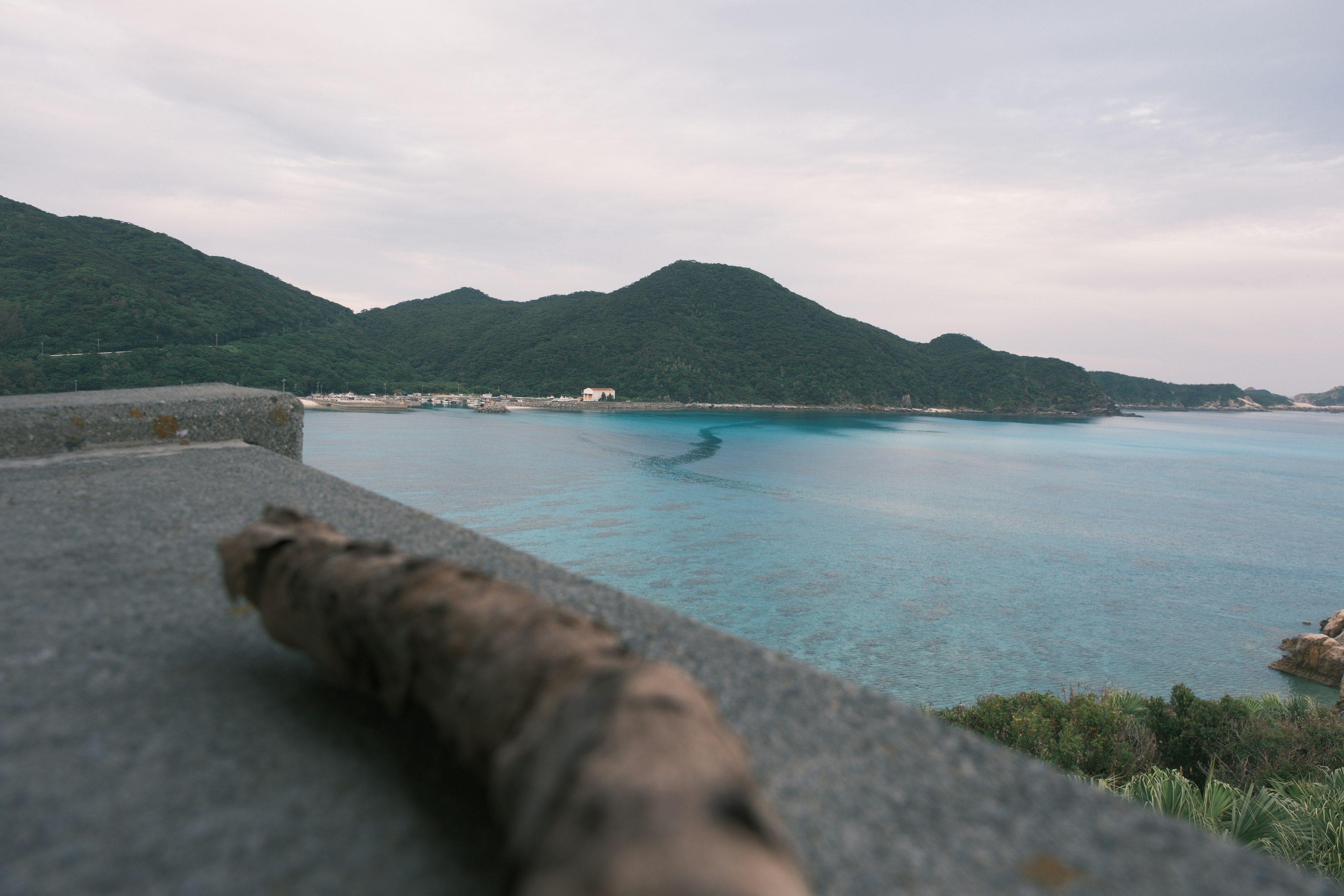 海と山の風景に近くにある小枝の写真