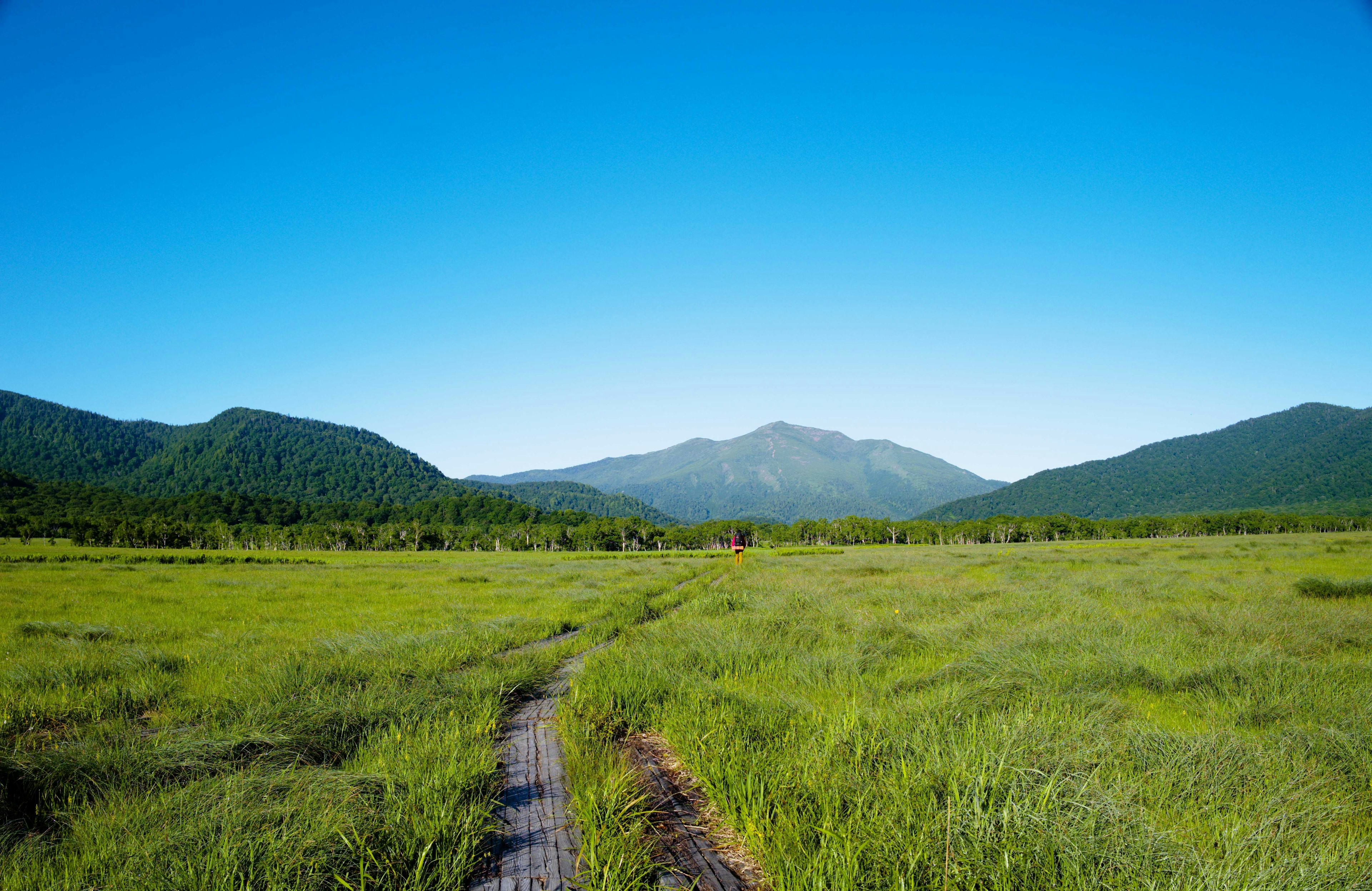 Eine Landschaft mit blauem Himmel und grünem Feld, das zu einem Weg führt