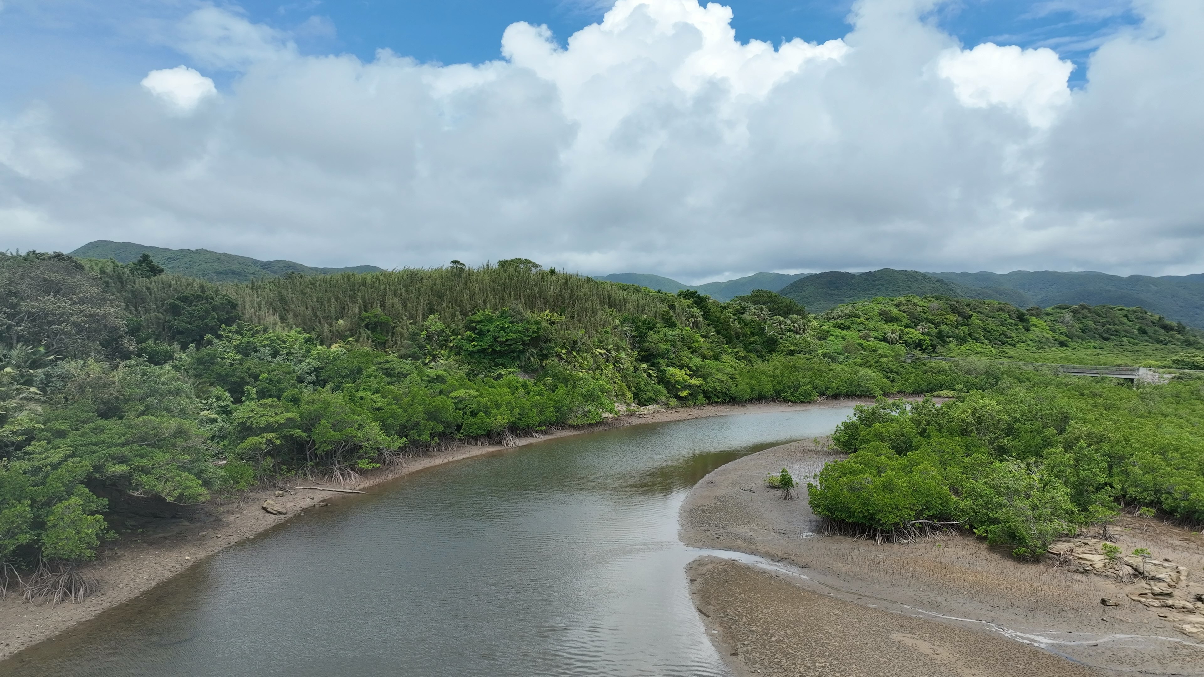 Paysage de rivière luxuriante avec une végétation verte et un ciel bleu