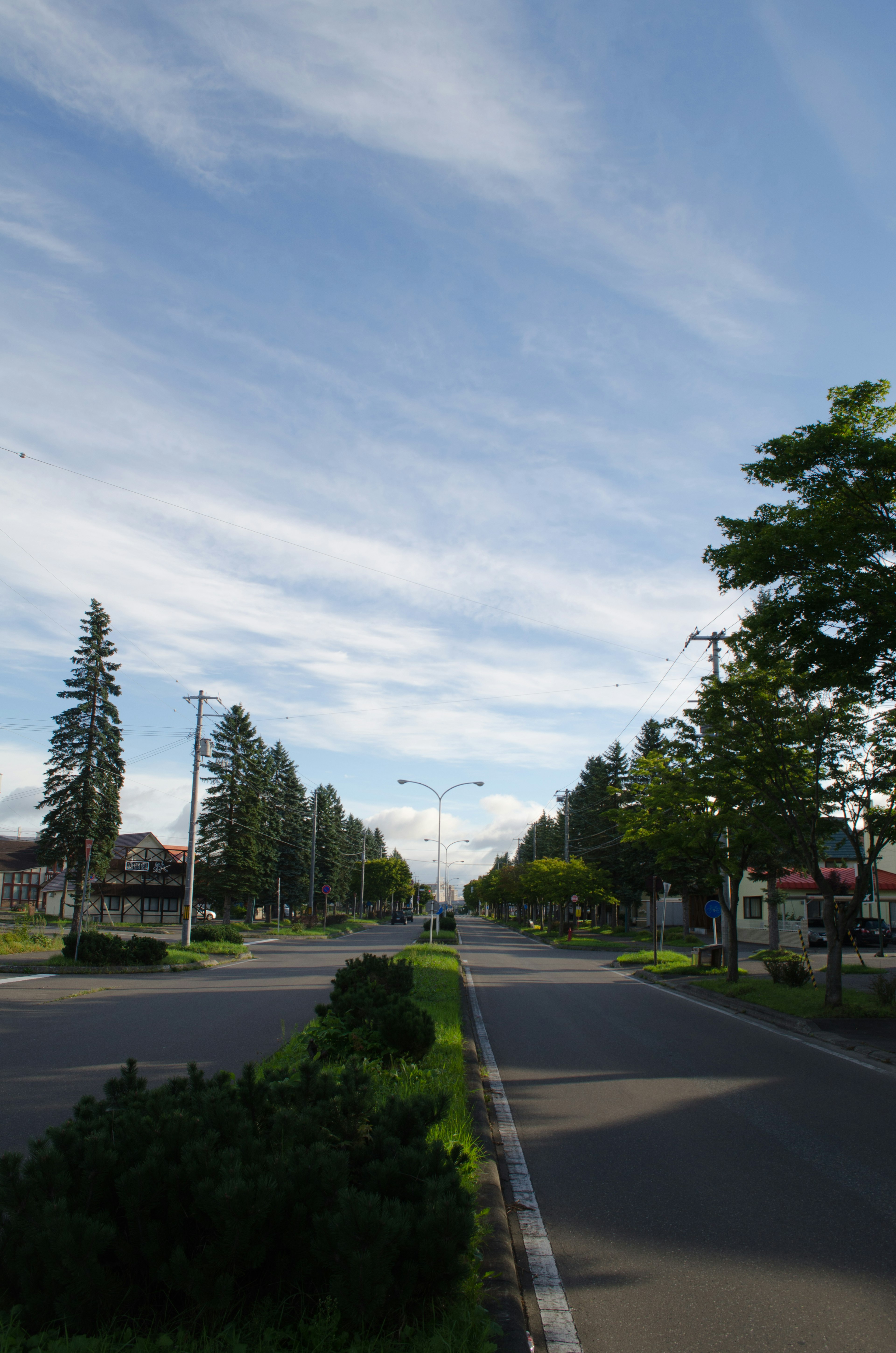 A quiet street under a blue sky with green trees