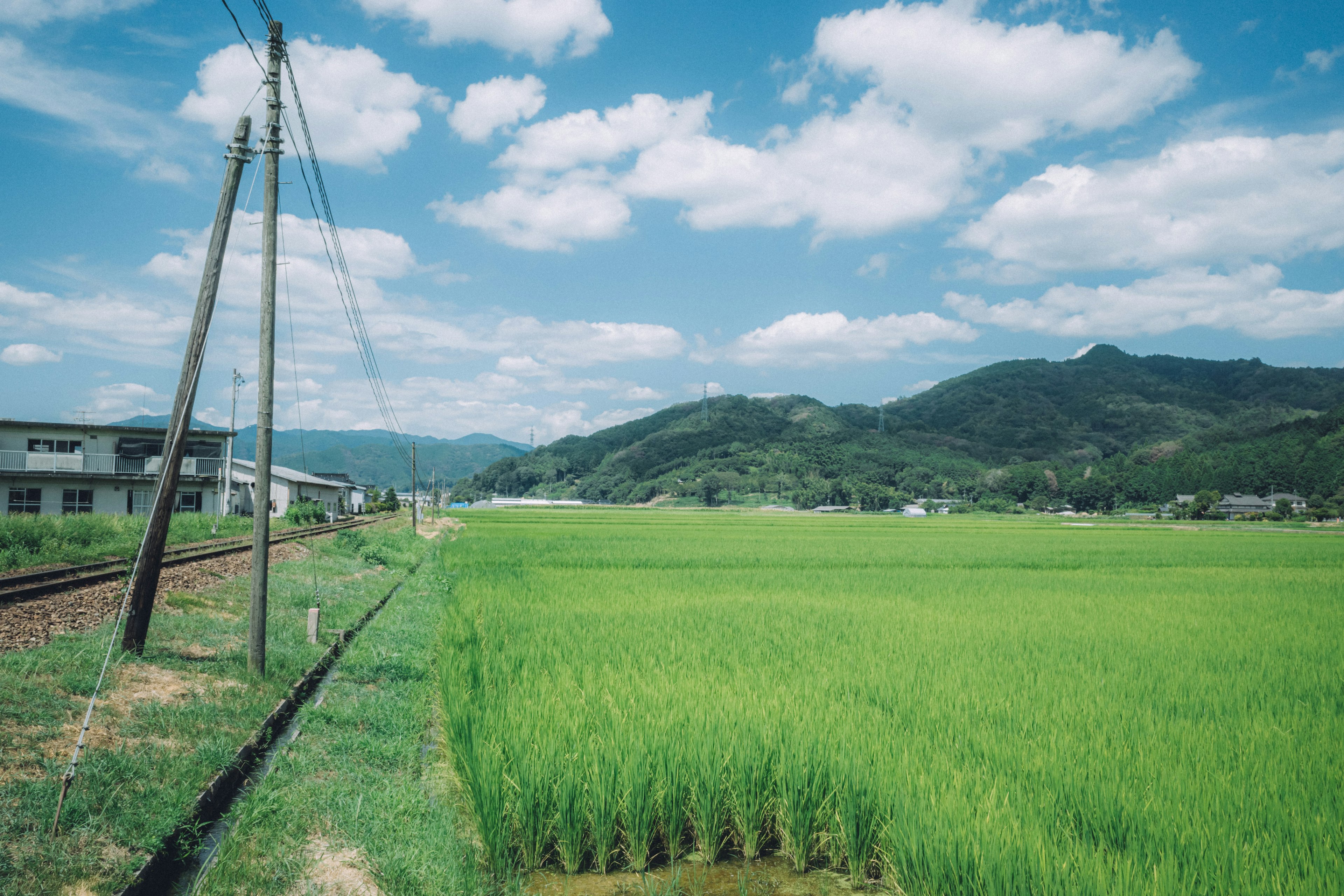 青い空と白い雲の下に広がる緑の田んぼと鉄道の風景