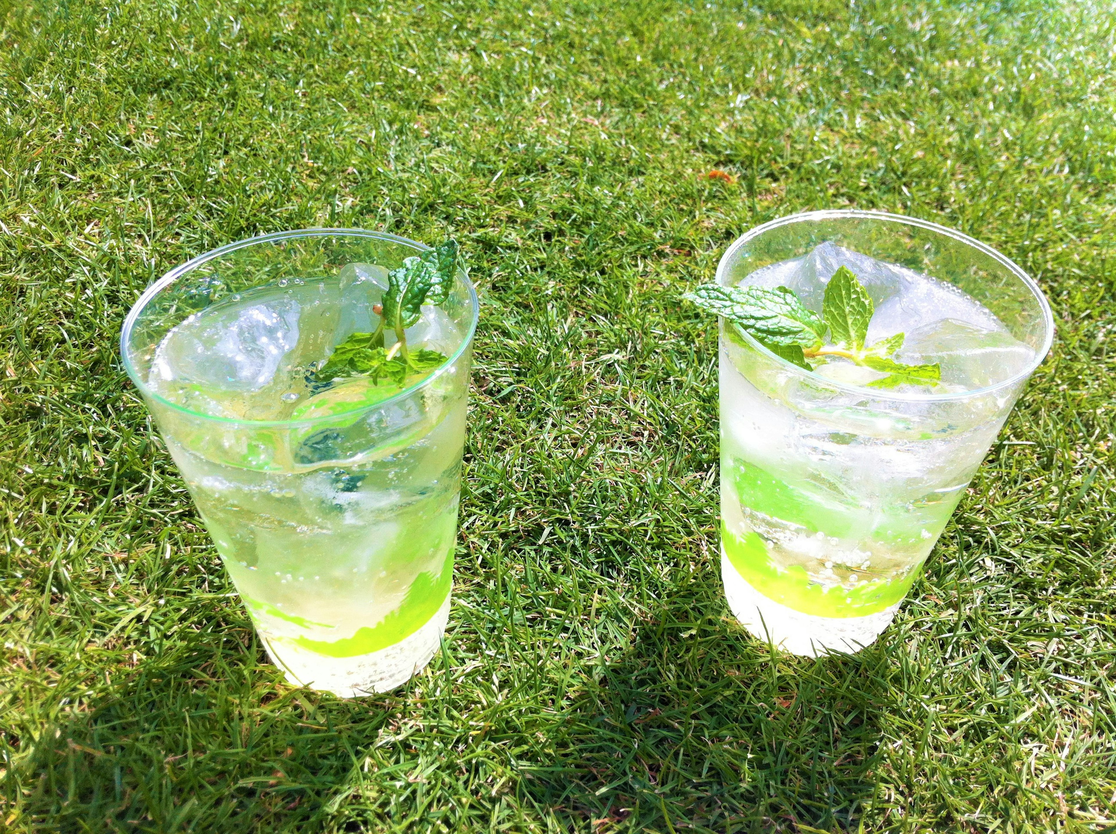 Two clear cups filled with mint-infused drinks placed on green grass