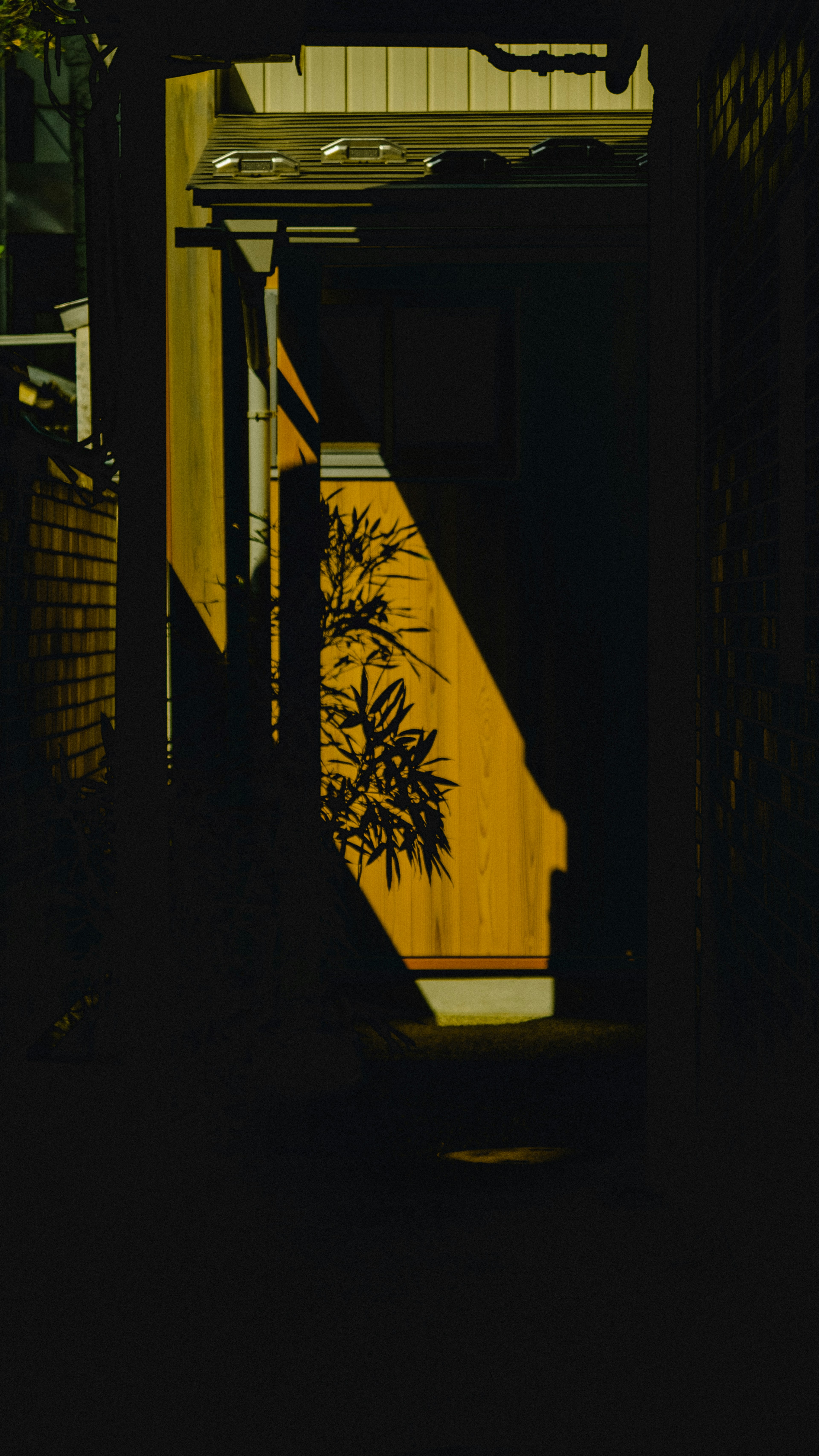 Contrast of a wooden door and shadows in a dimly lit alley