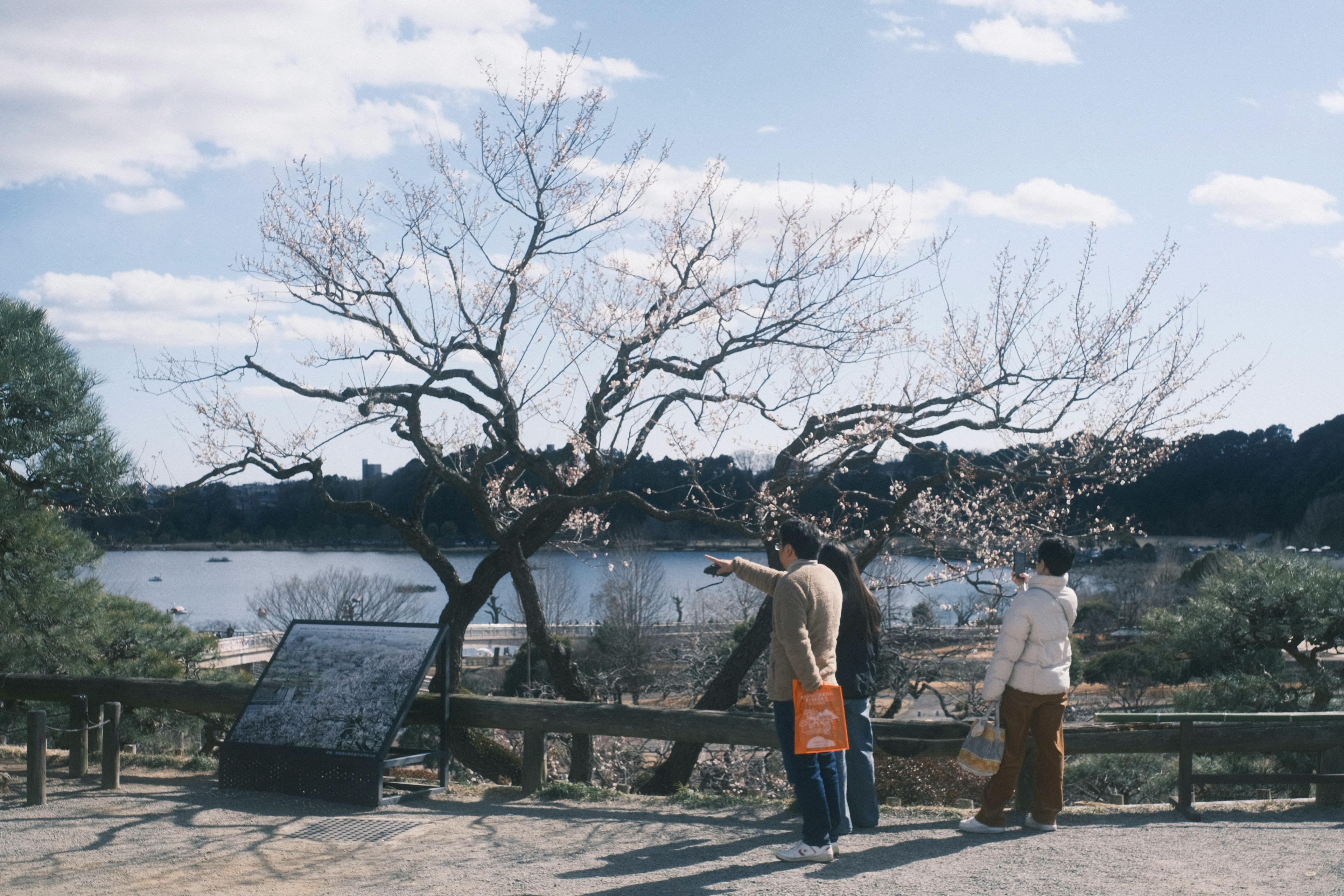 Two people enjoying the view near a river with a bare tree