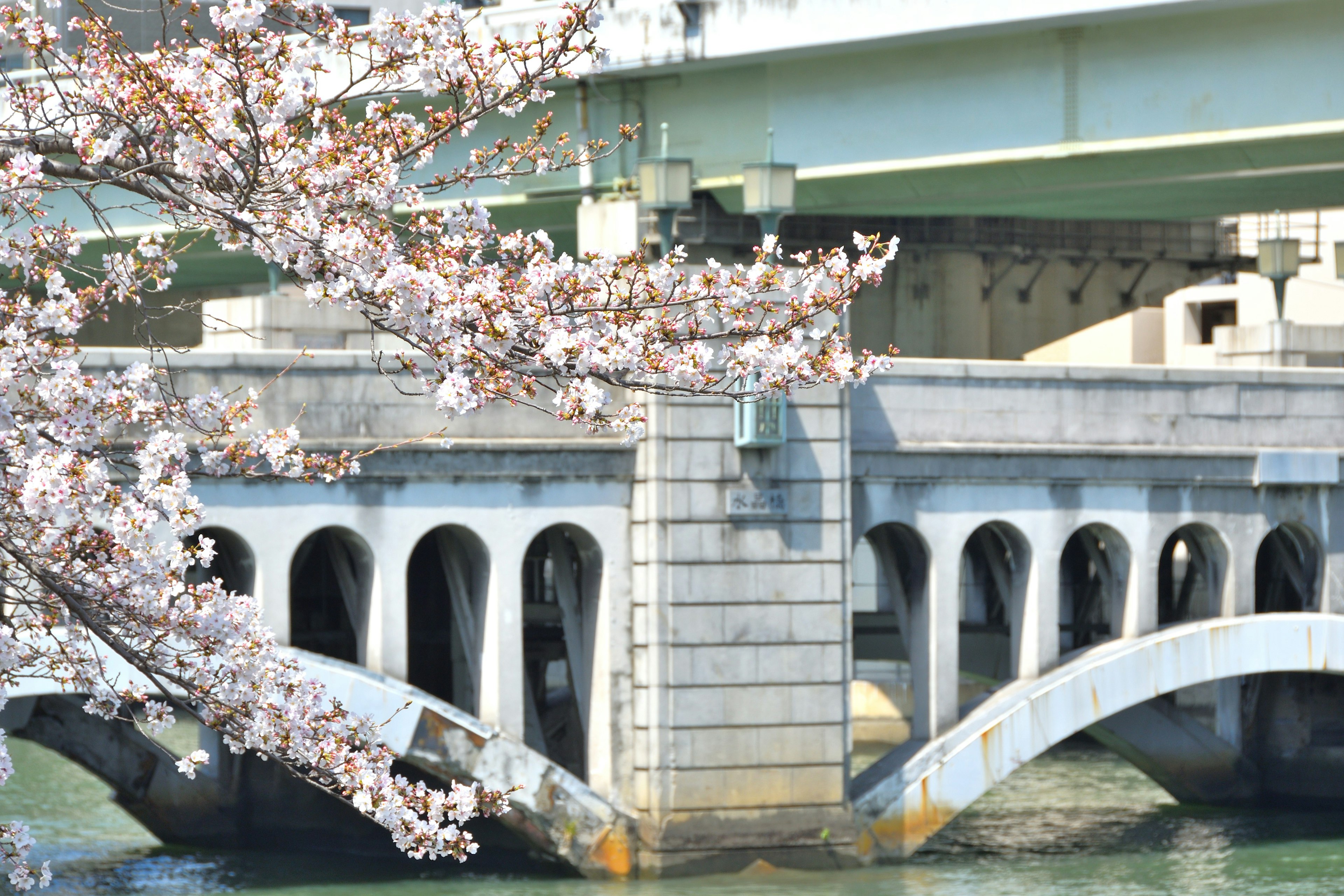 Struktur jembatan dekat bunga sakura