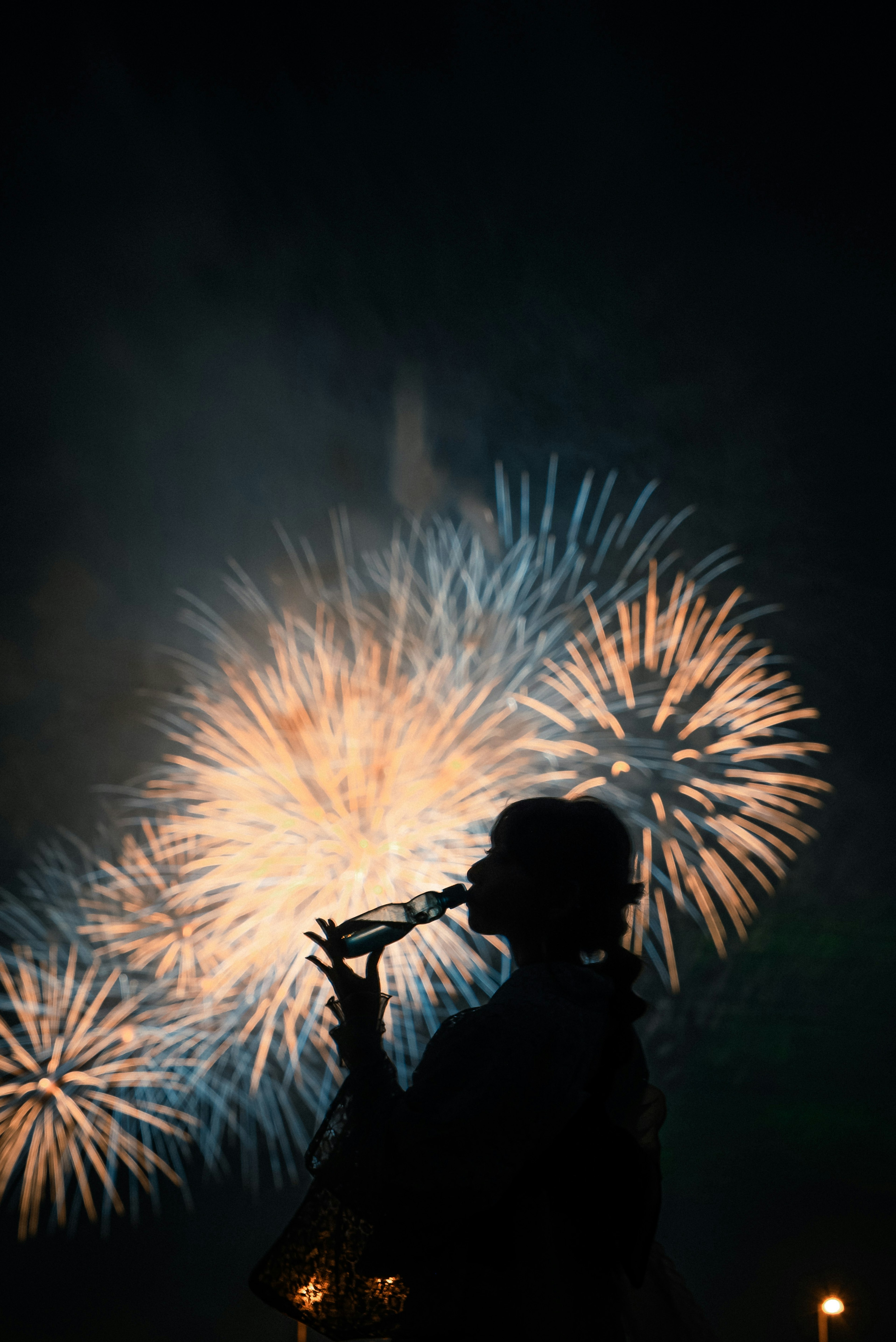 Silhouette jouant d'un instrument devant des feux d'artifice