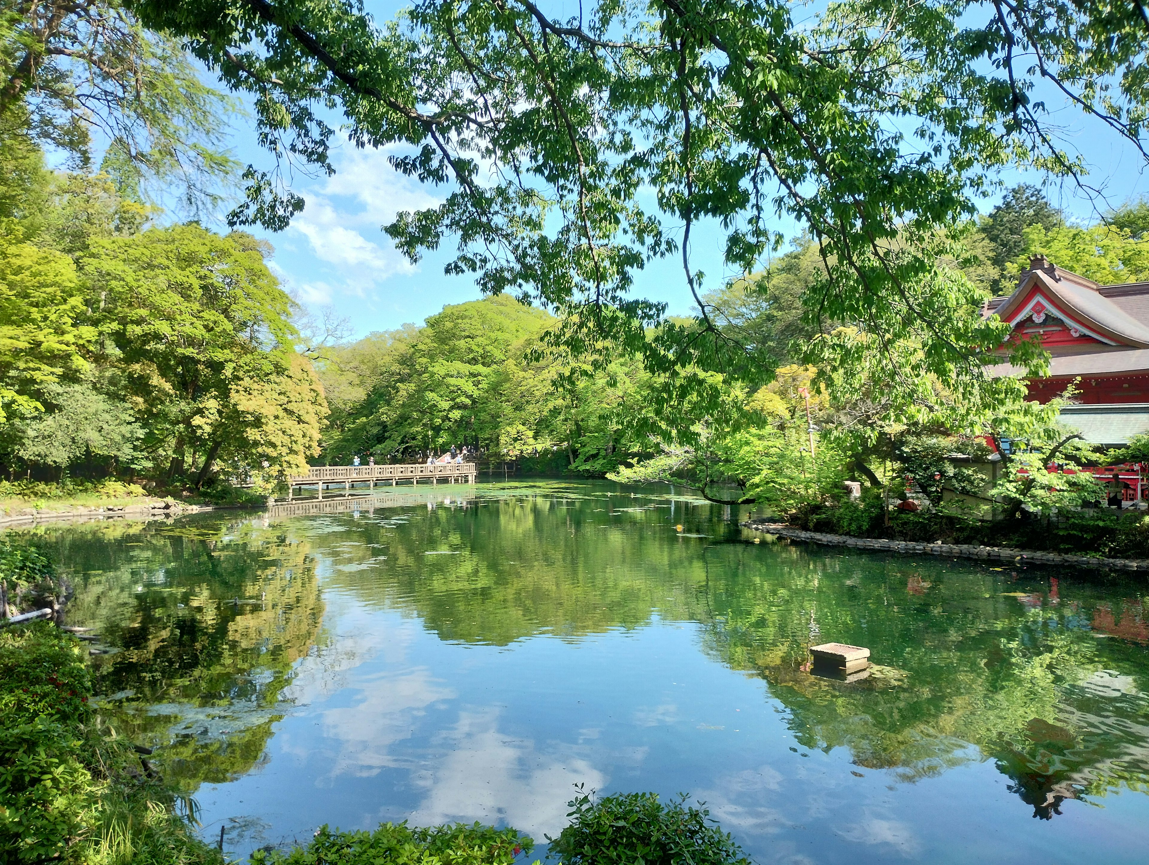 Vista serena del estanque con vegetación exuberante que incluye un puente y un edificio rojo