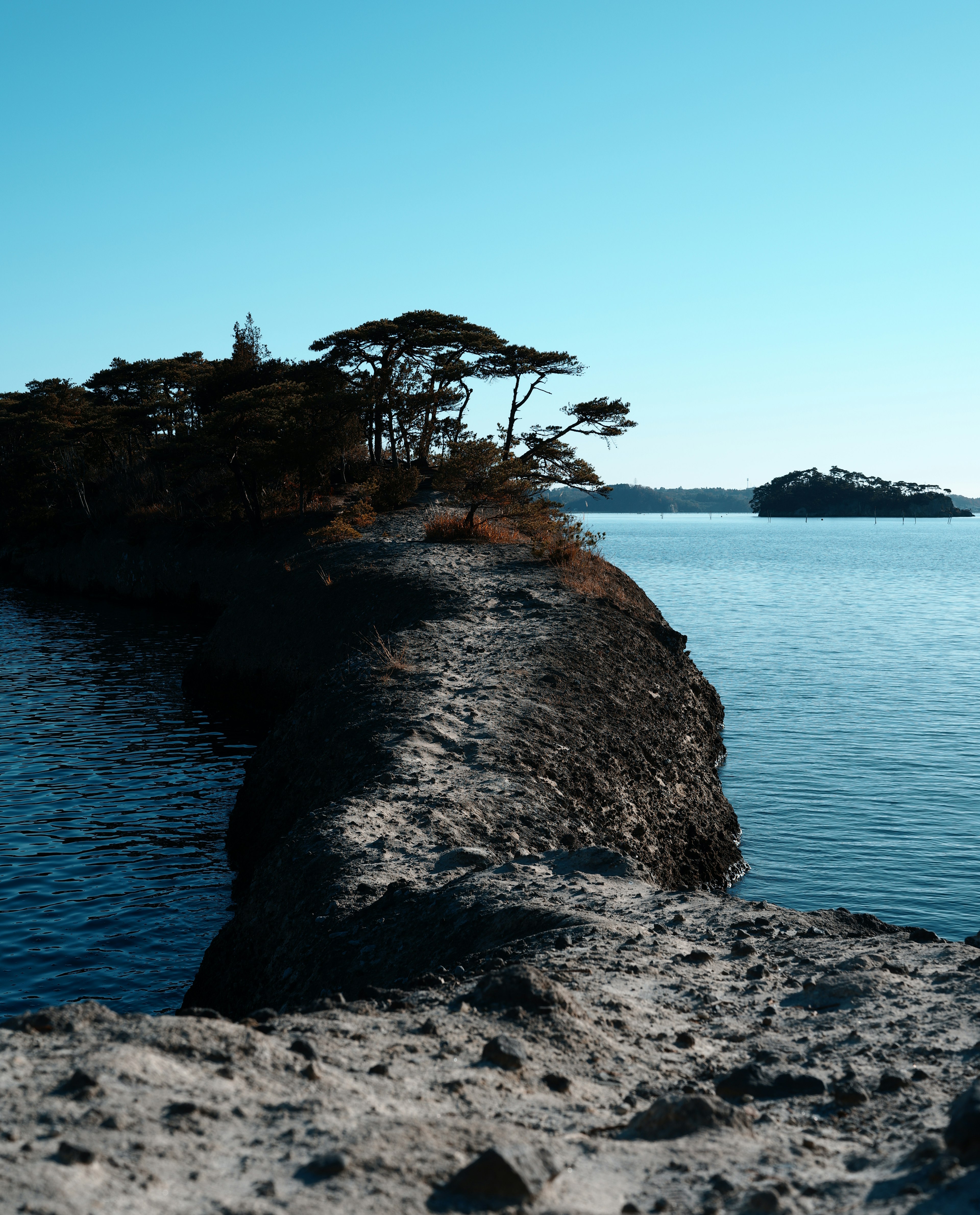 Sentiero roccioso stretto con alberi sotto un cielo blu chiaro e acqua calma