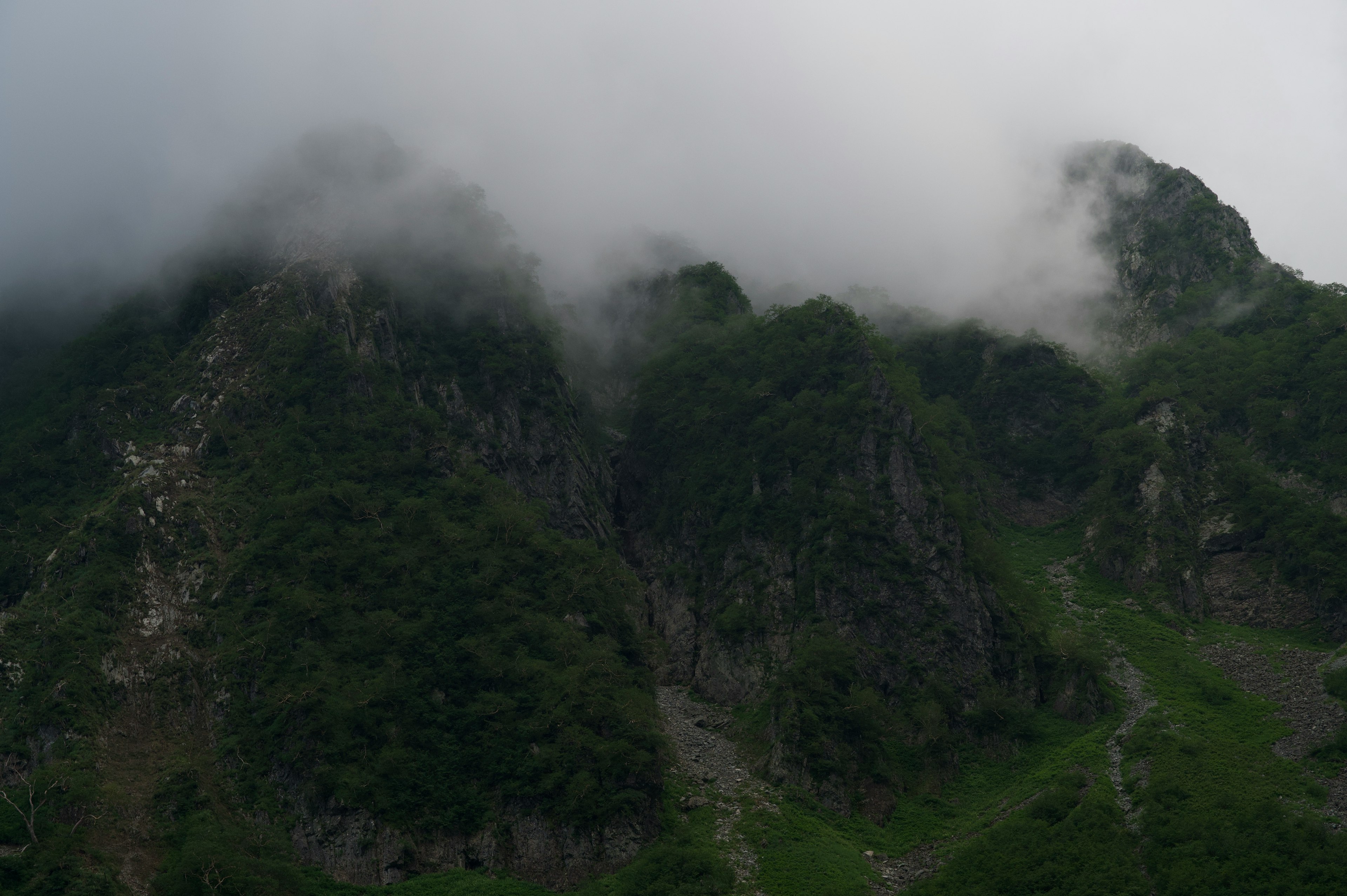 霧に包まれた緑豊かな山々の風景