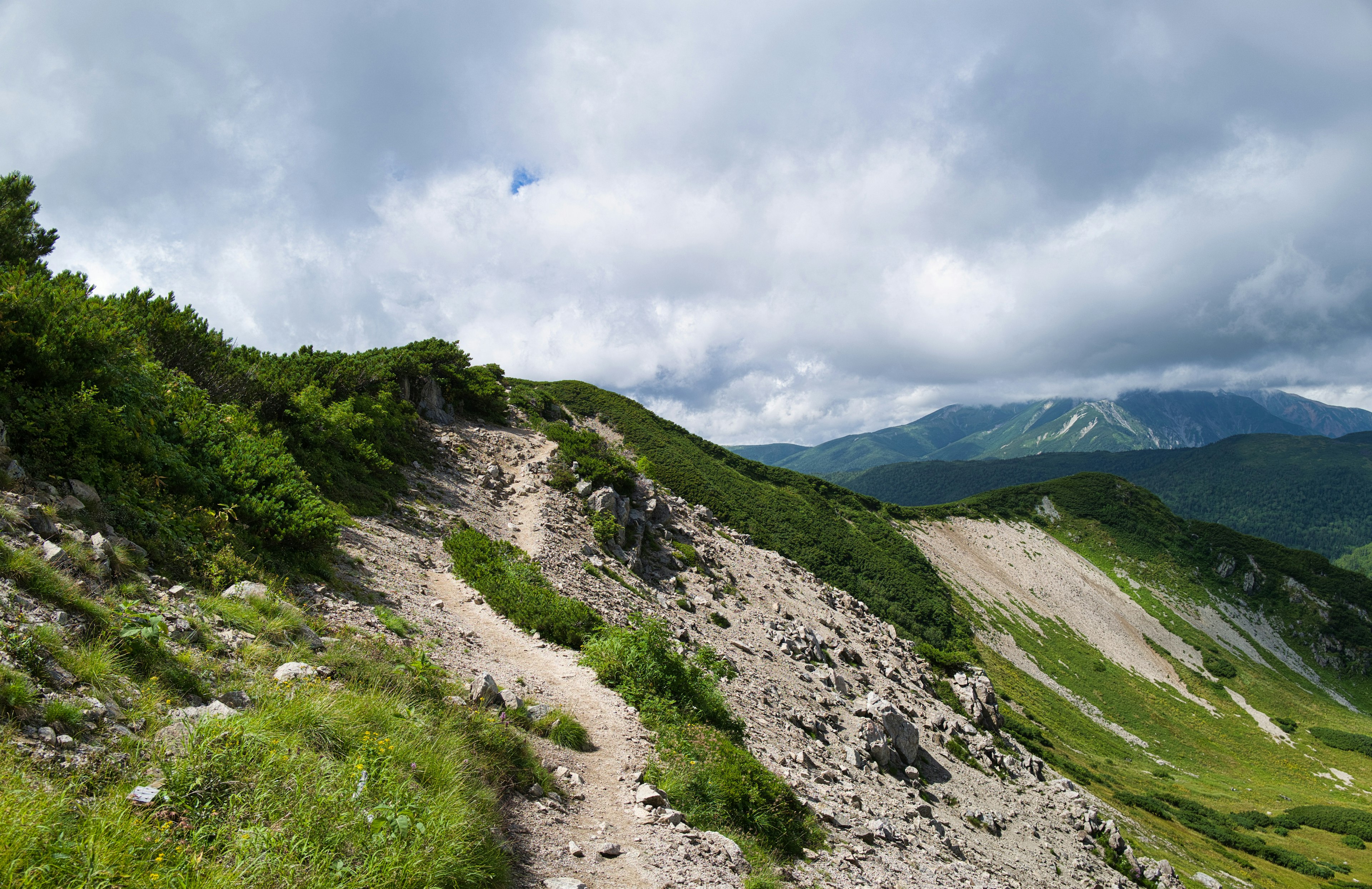 緑の植物と石の小道が広がる山の風景