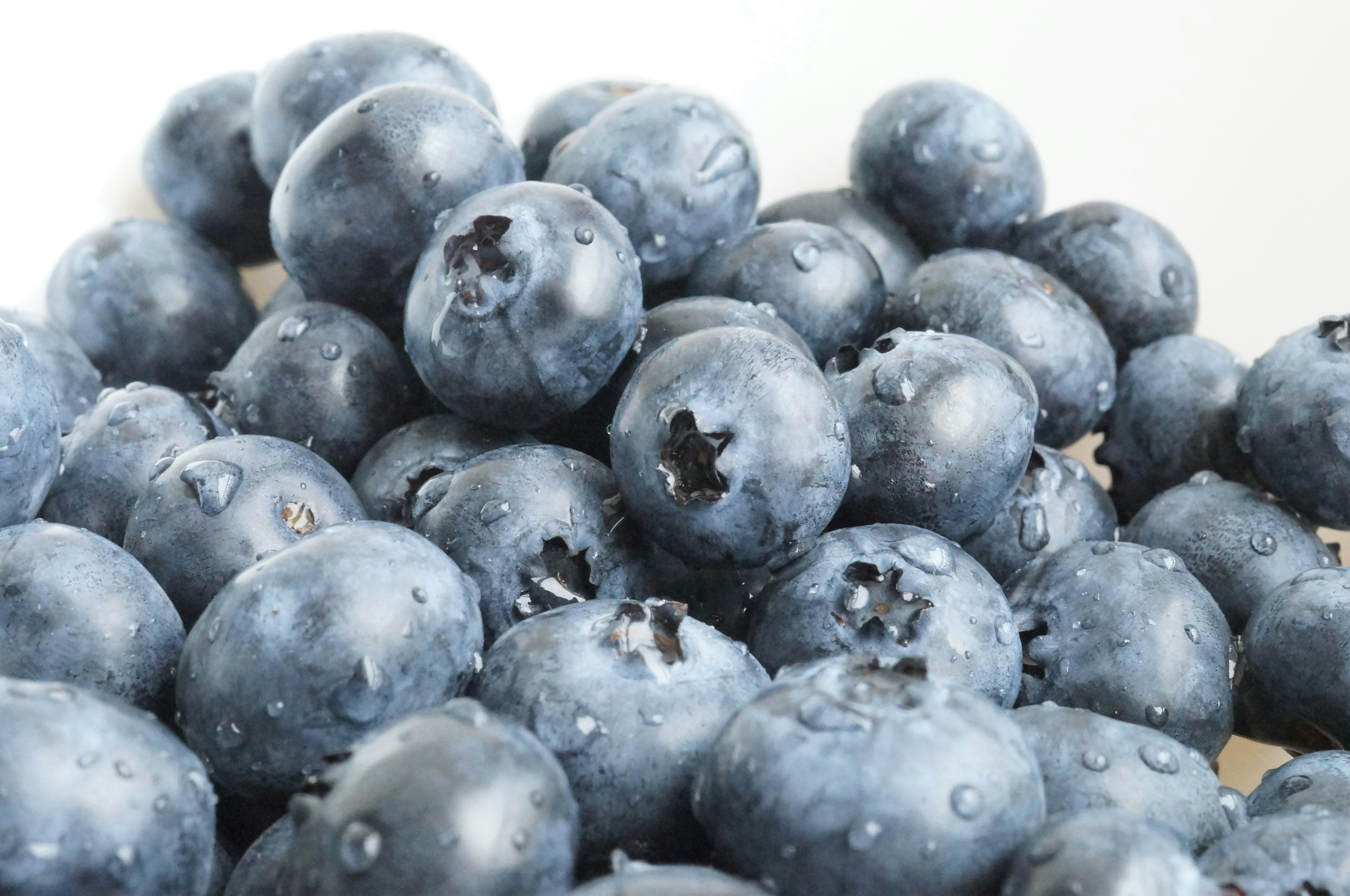 Nahaufnahme von frischen Heidelbeeren