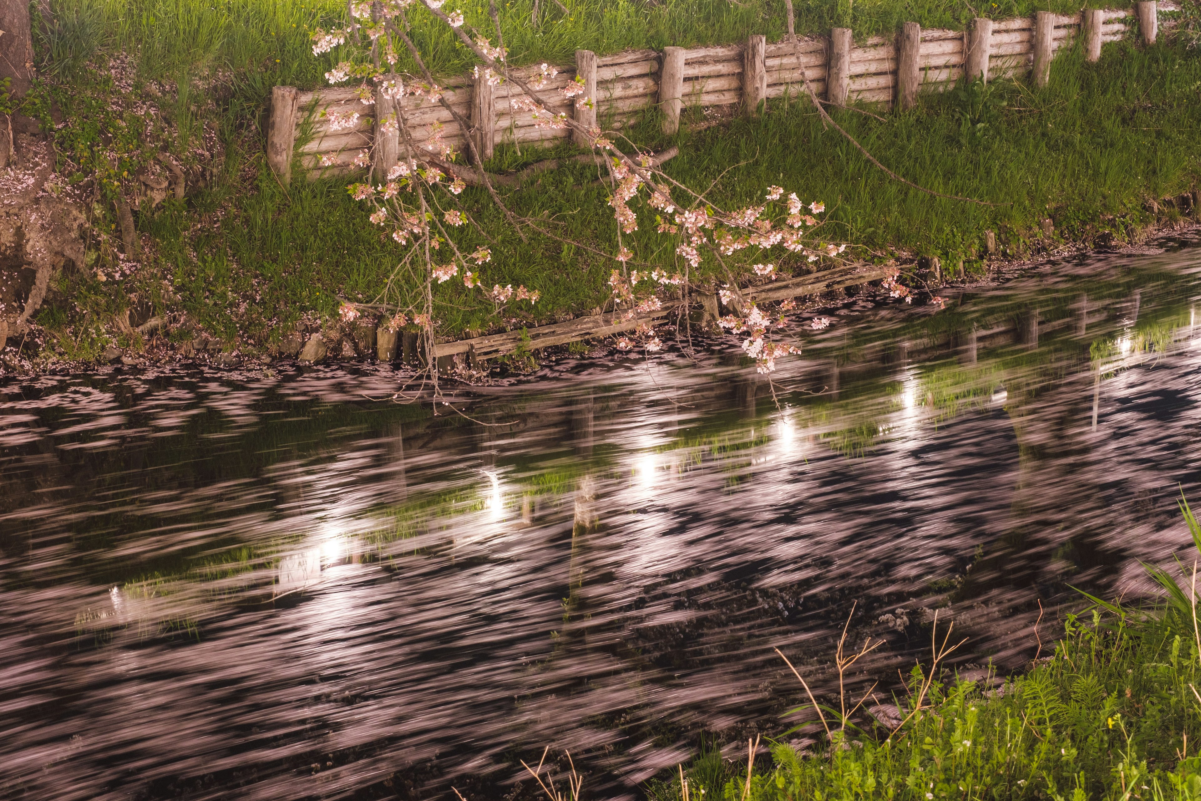 Fiume tranquillo che riflette la luce con un ambiente verdeggiante