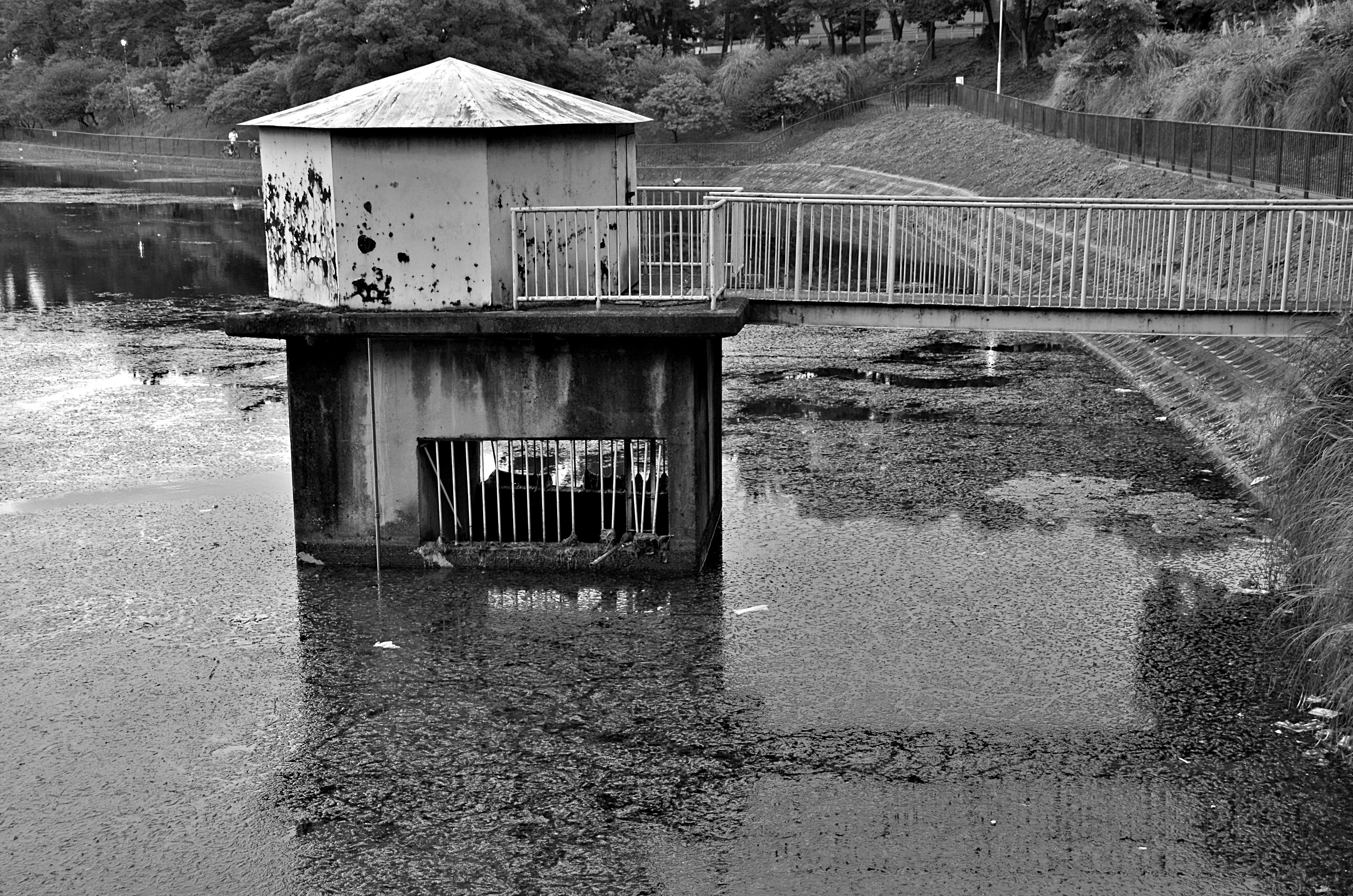 Una estructura con techo sobre un cuerpo de agua contaminado y un puente