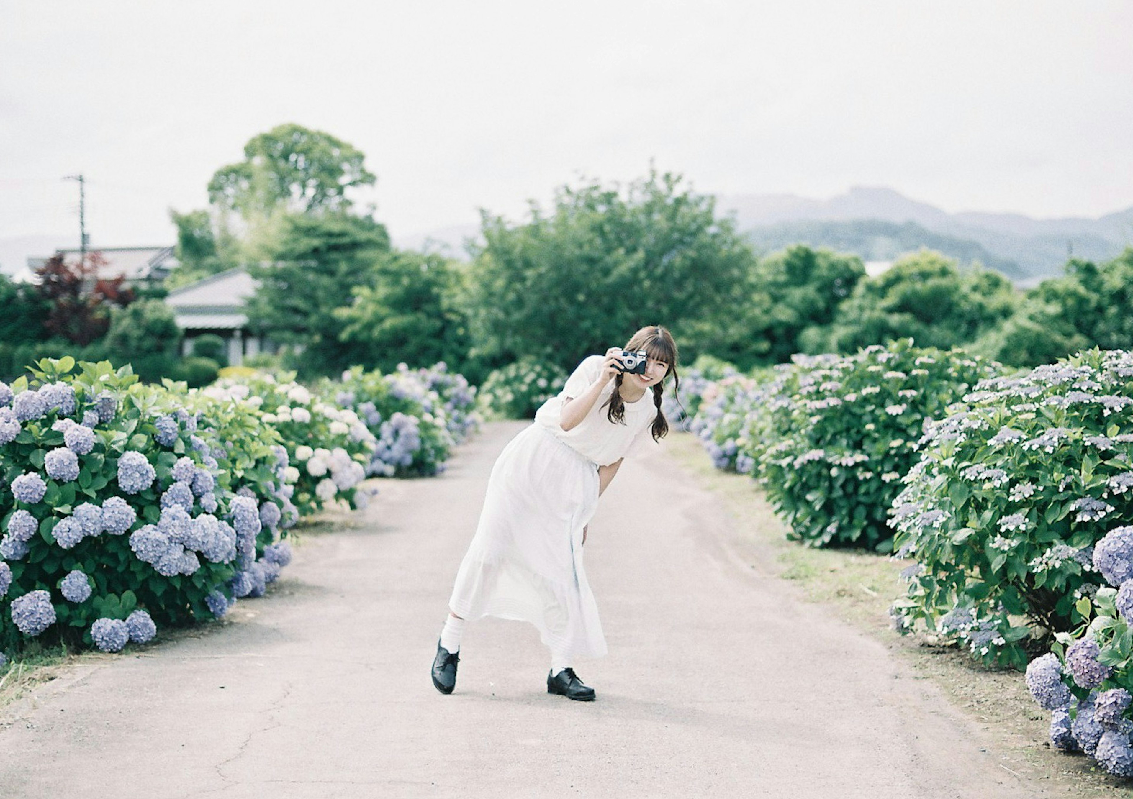 Una mujer con un vestido blanco caminando por un camino rodeado de hortensias moradas