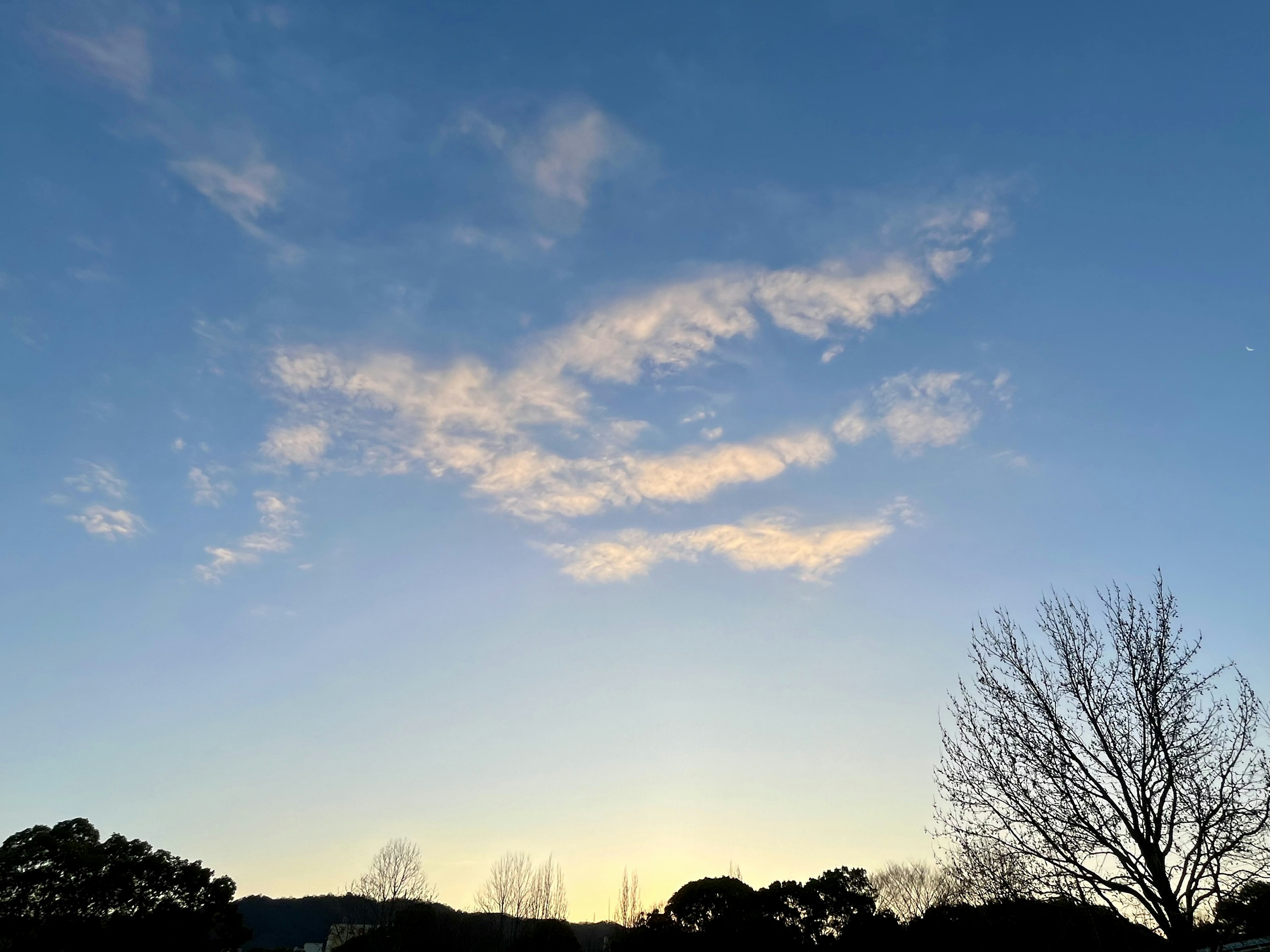 Ciel bleu clair avec des nuages légers et une douce lumière du soir