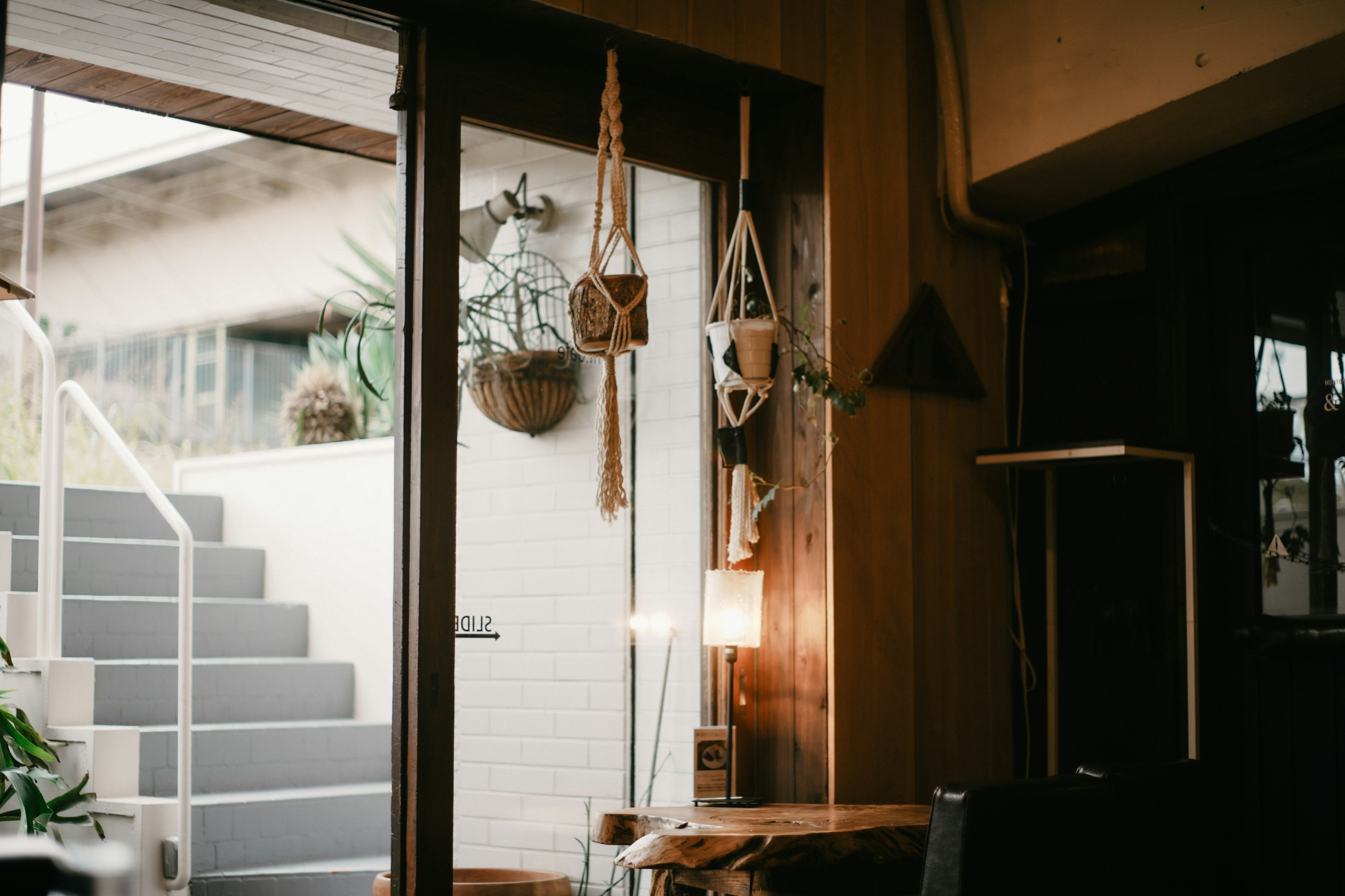 Interior view of a bright café looking outside Decorative plants and ornaments near the window