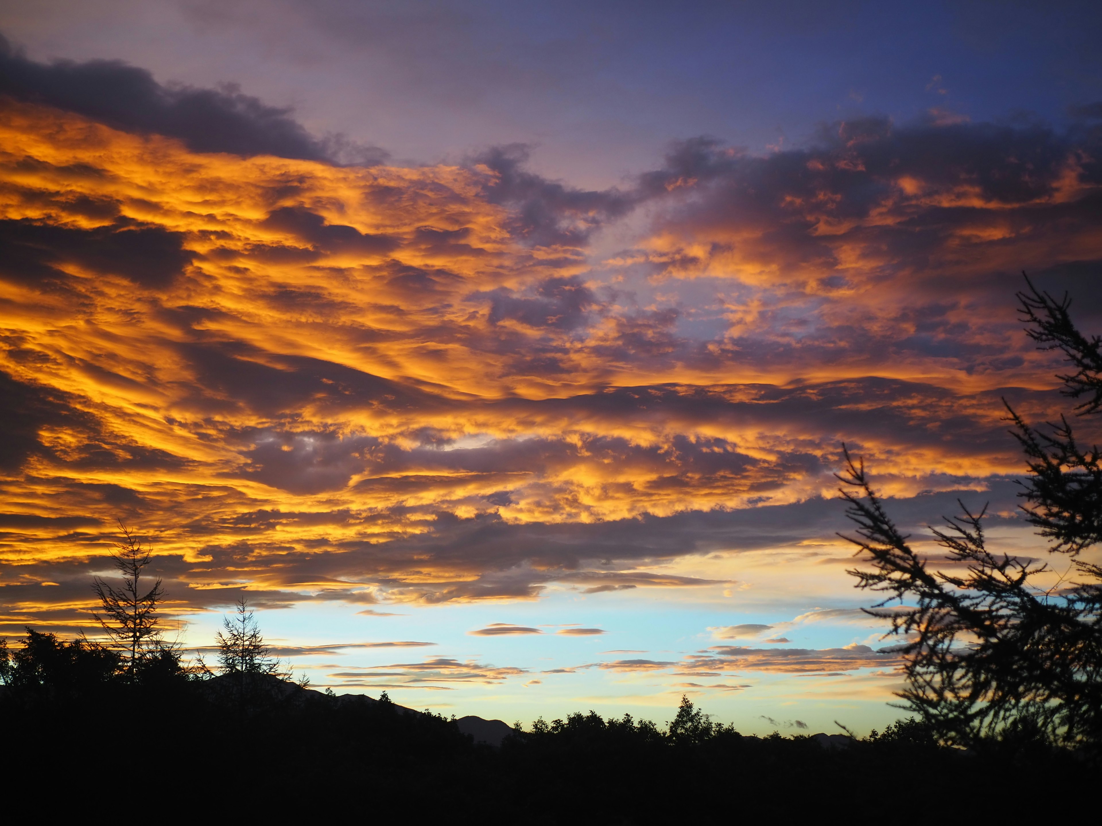 Hermoso cielo al atardecer con nubes naranjas y cielo azul