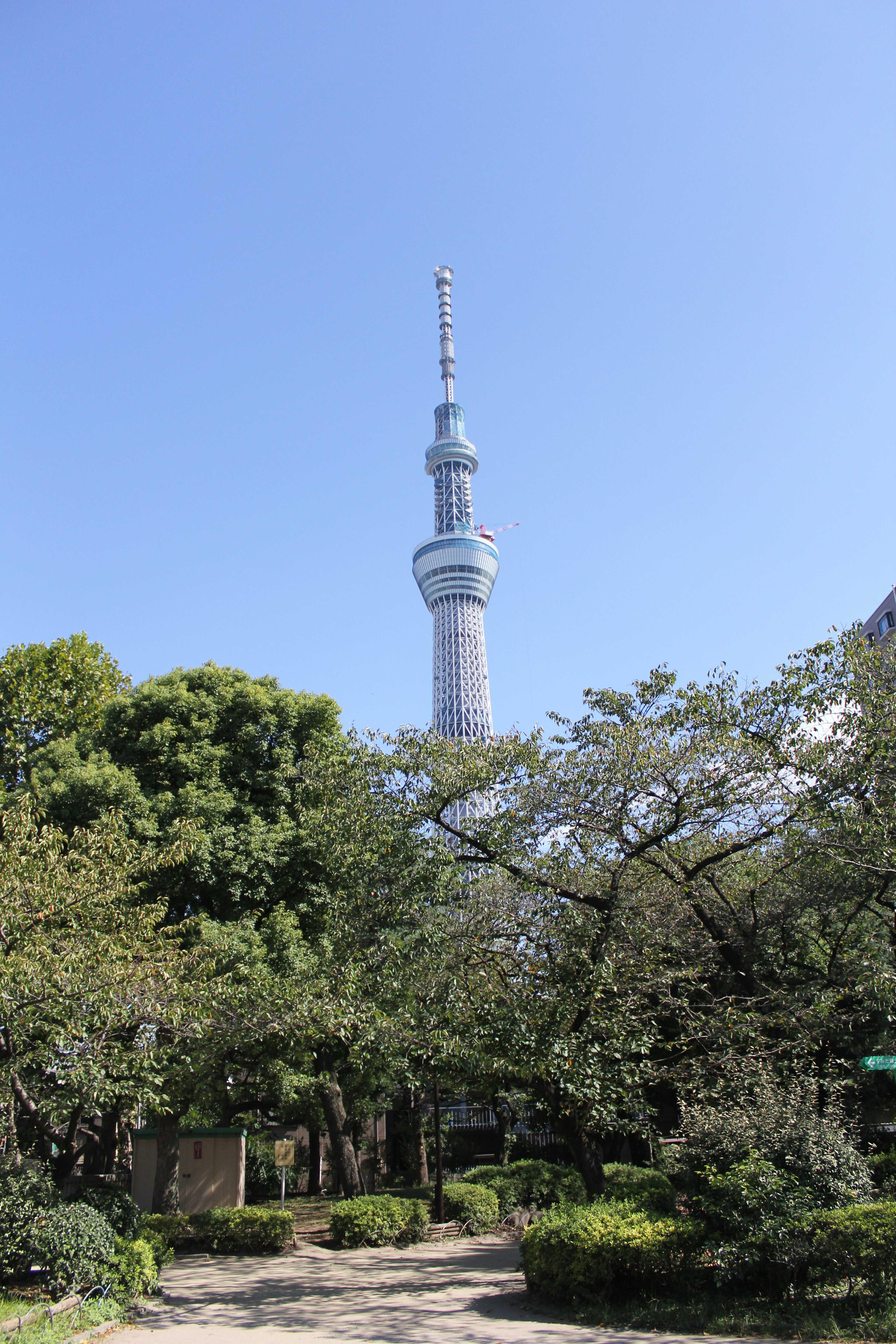 Tokyo Skytree, der über einem üppigen Park unter einem klaren blauen Himmel thront