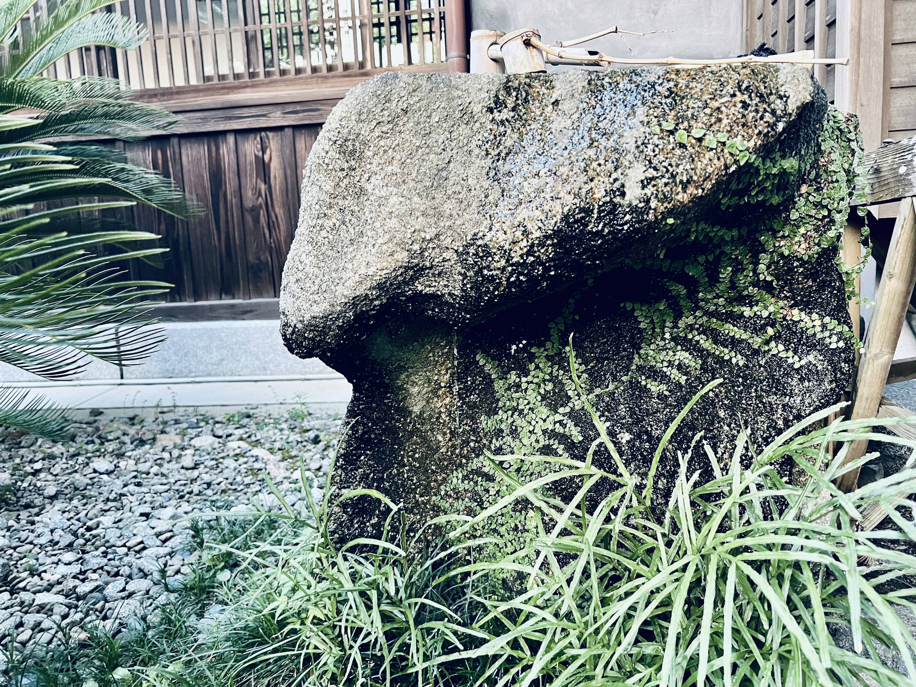 Steinskulptur in einem Garten umgeben von grünen Pflanzen