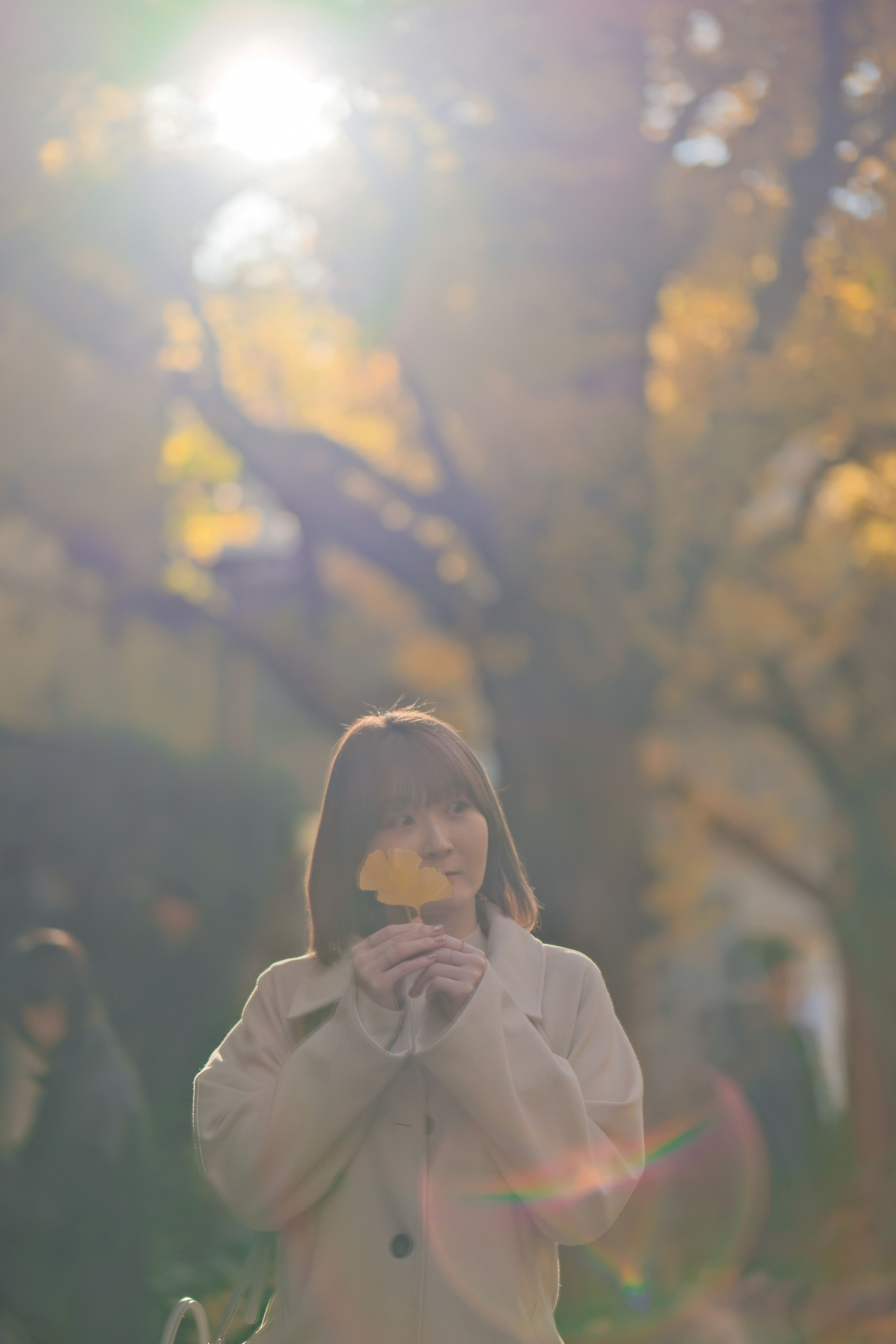 秋の公園で葉を持つ女性の柔らかなポートレート