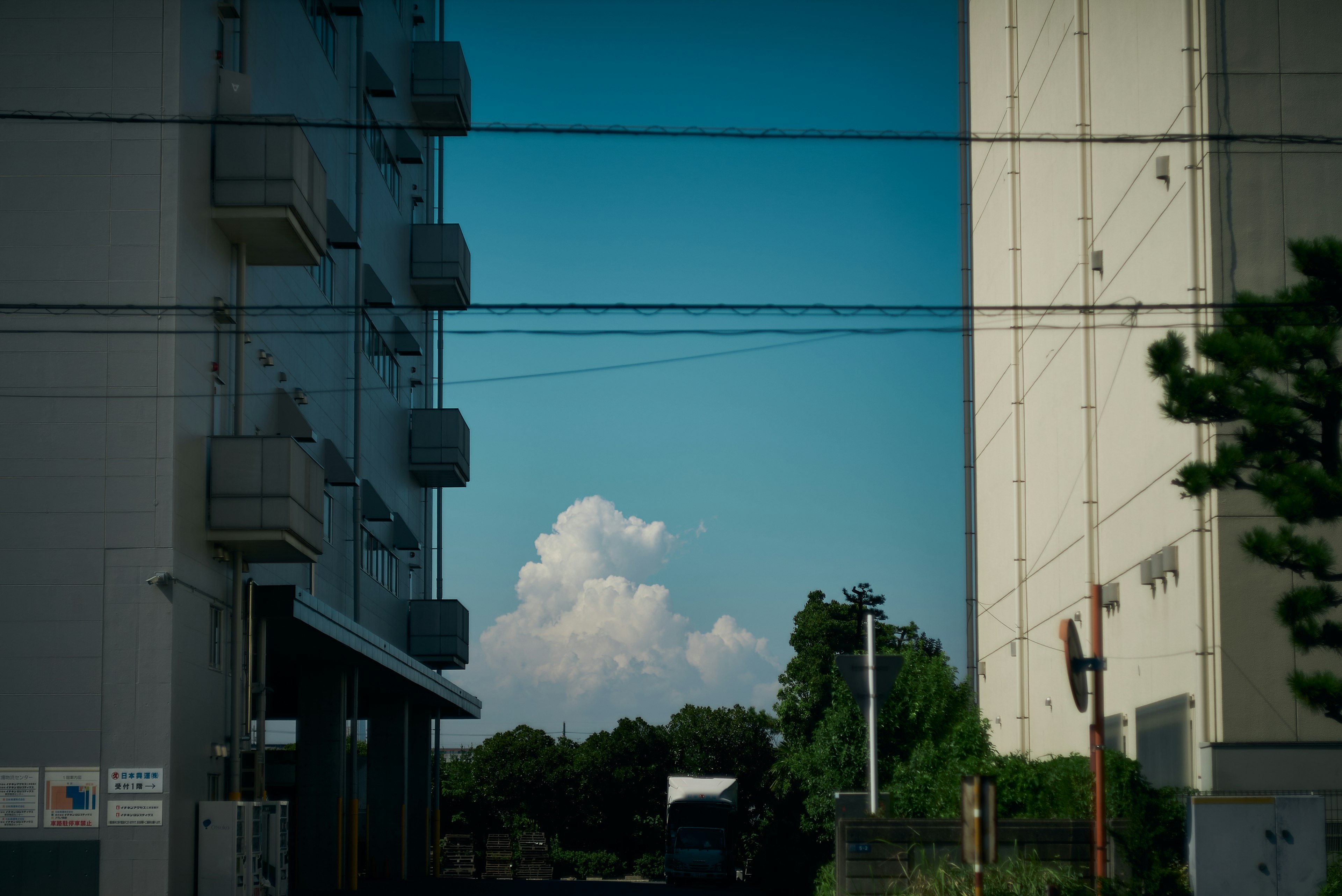 青空の下に立つ高層ビルの間に見える雲と緑の木々