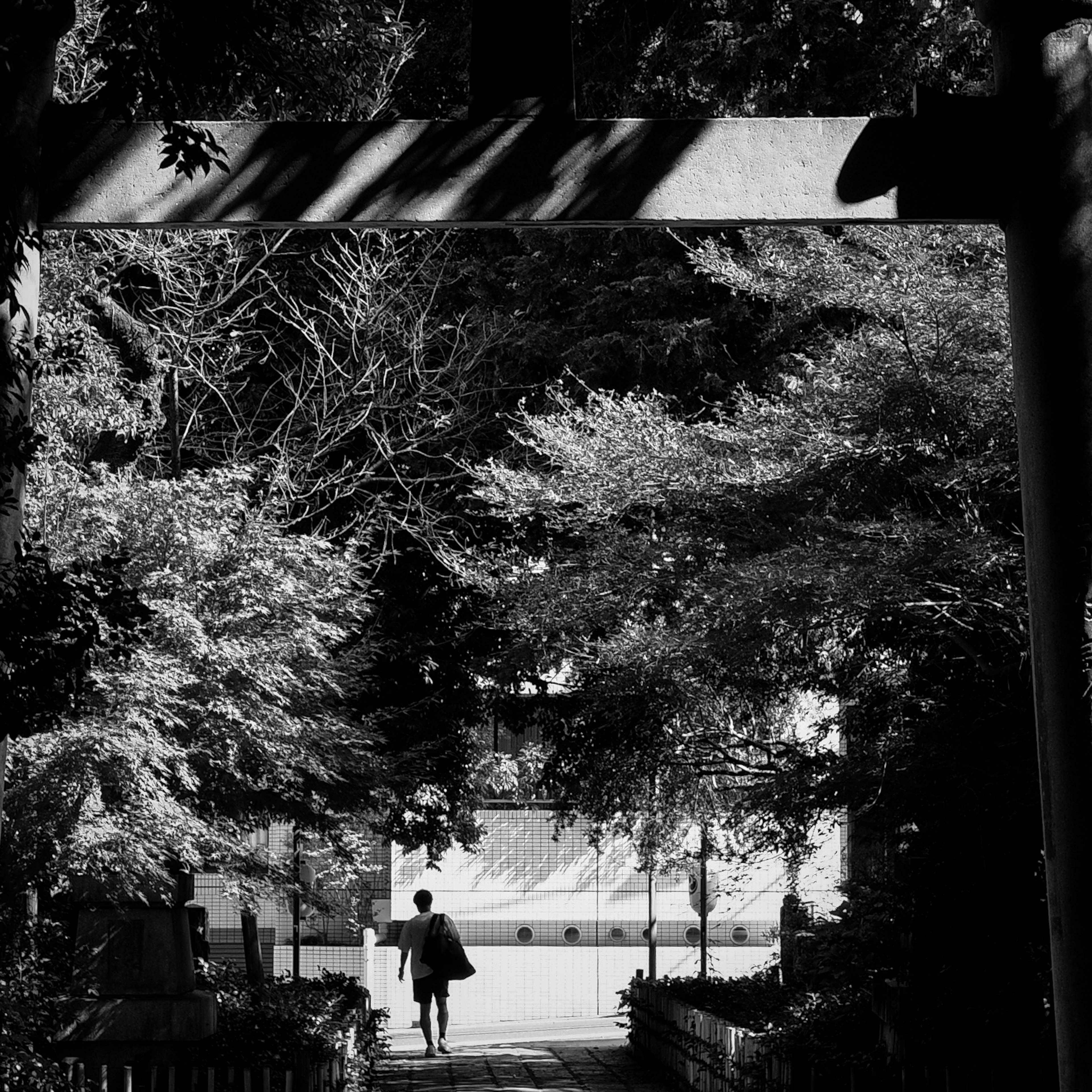 Une personne marchant sous un portail torii entouré d'arbres luxuriants en noir et blanc