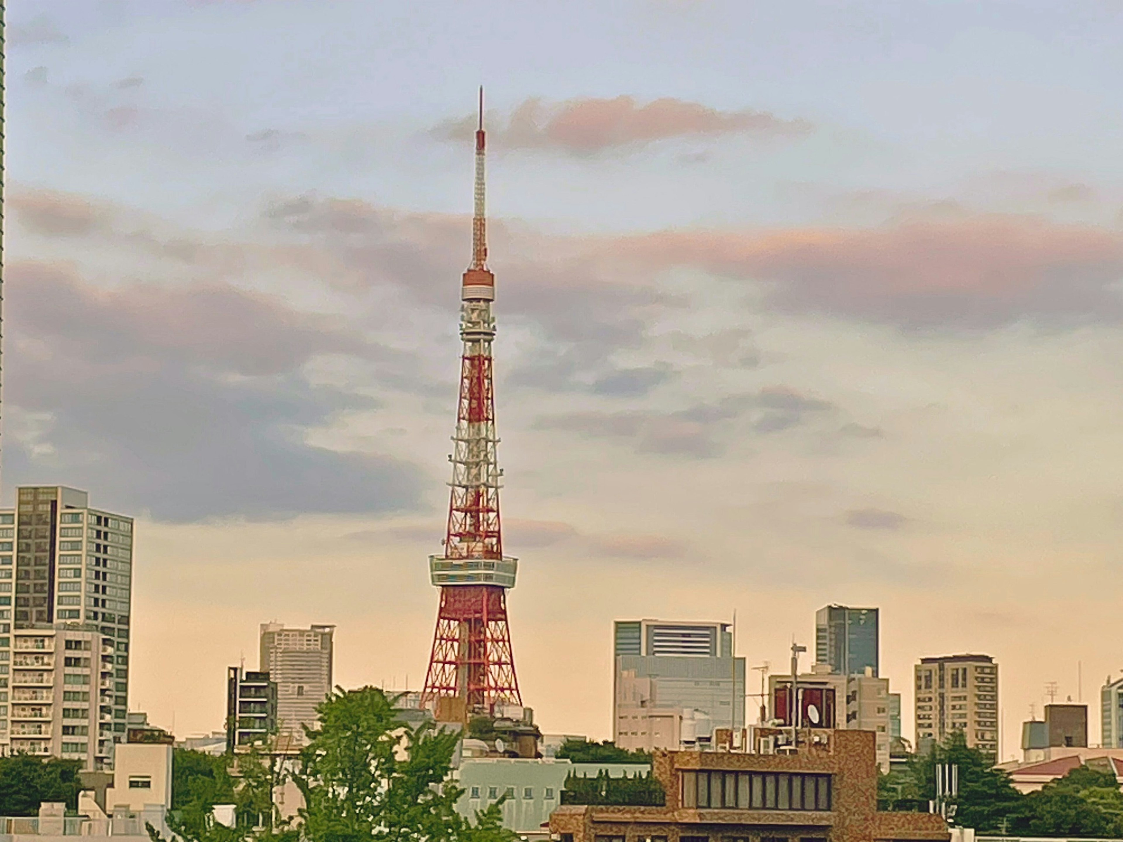 東京タワーが夕焼けの中にそびえる都市の景観