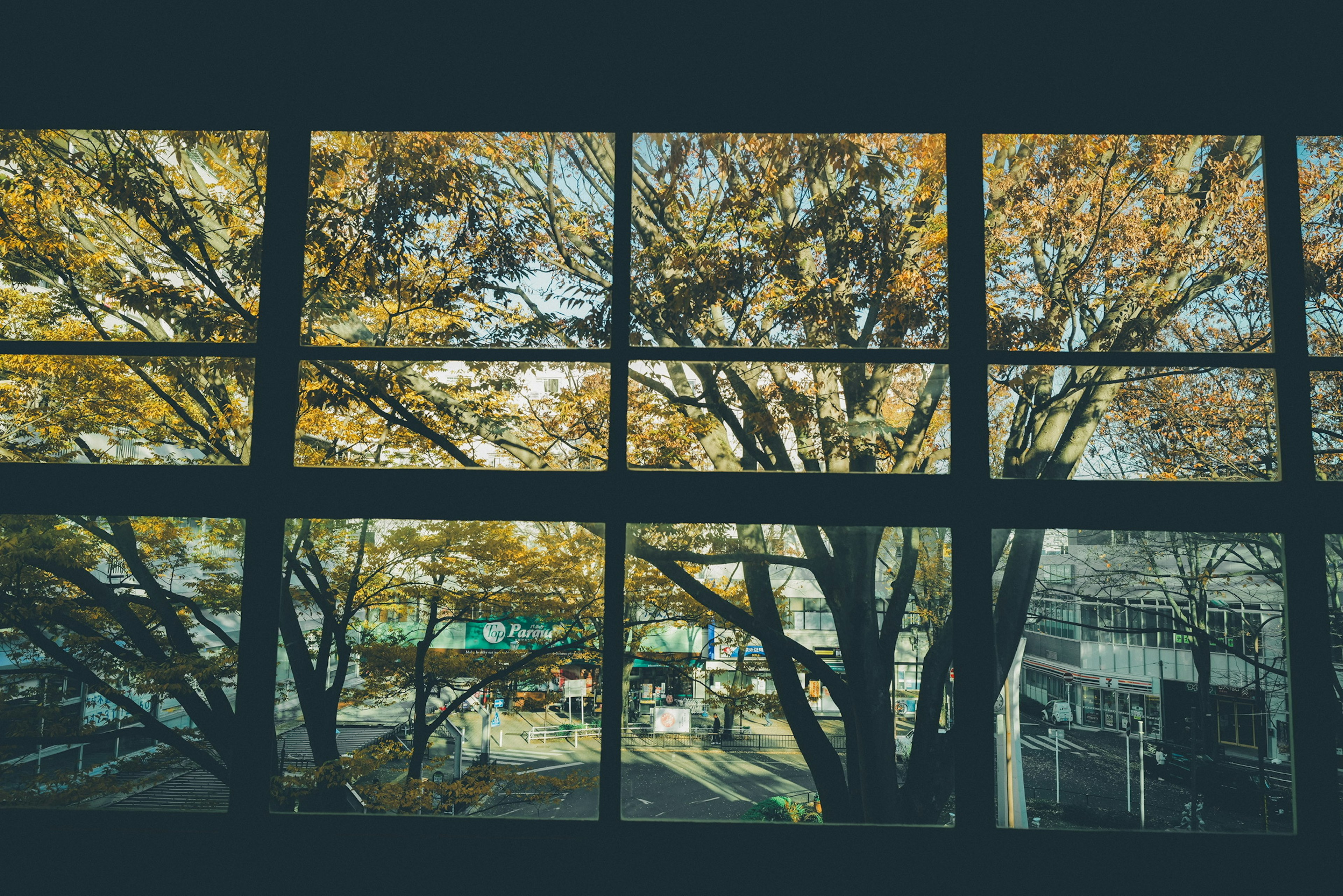 Aussicht auf Herbstbäume und Stadtlandschaft durch große Fenster