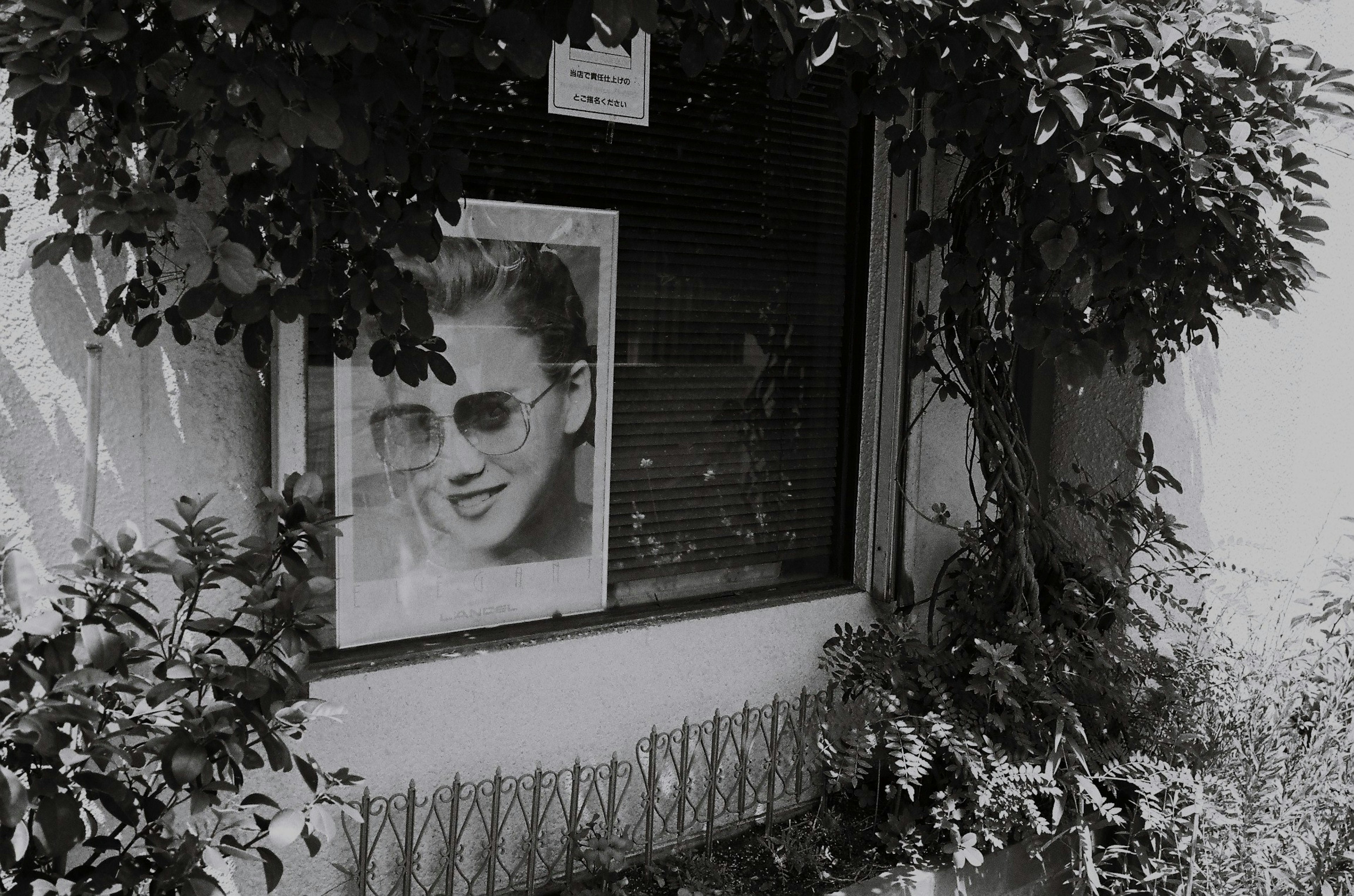 Vista exterior de una tienda con una foto en blanco y negro enmarcada en vegetación primer plano de una mujer sonriente con gafas de sol casuales