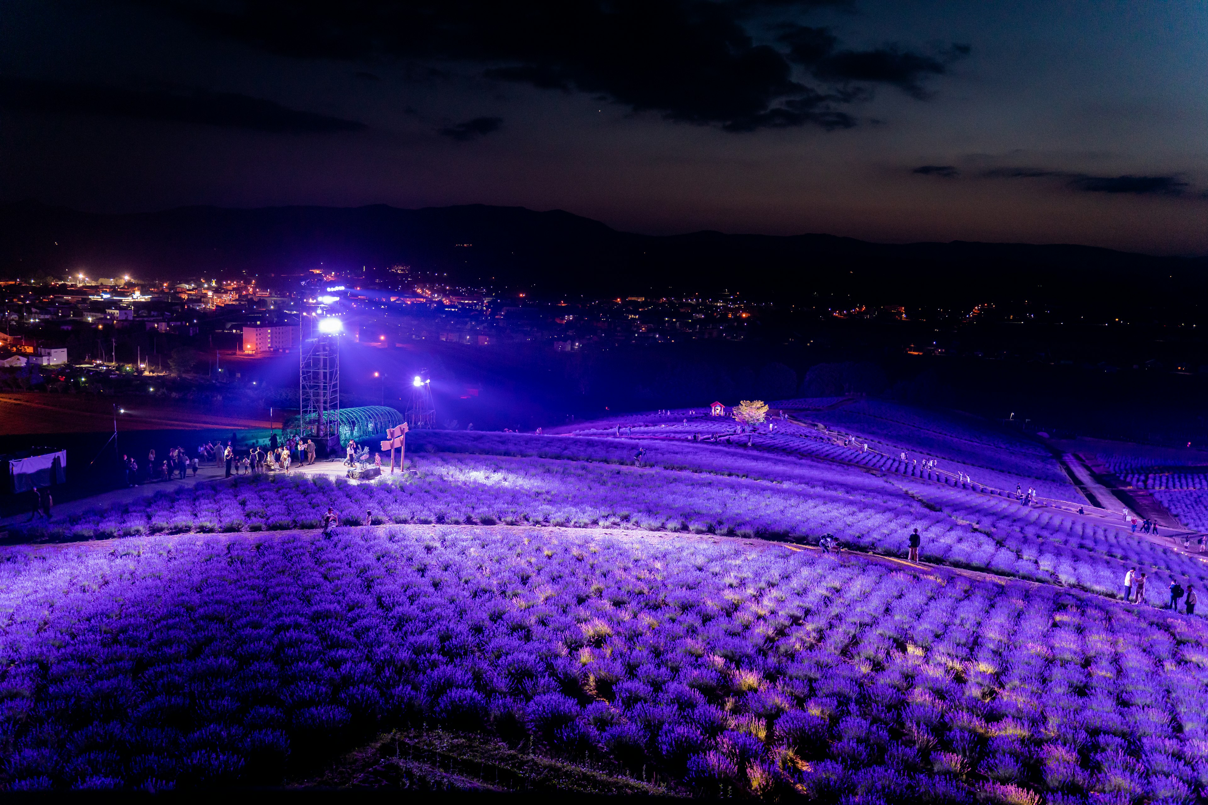 Campo vasto illuminato da luci viola di notte