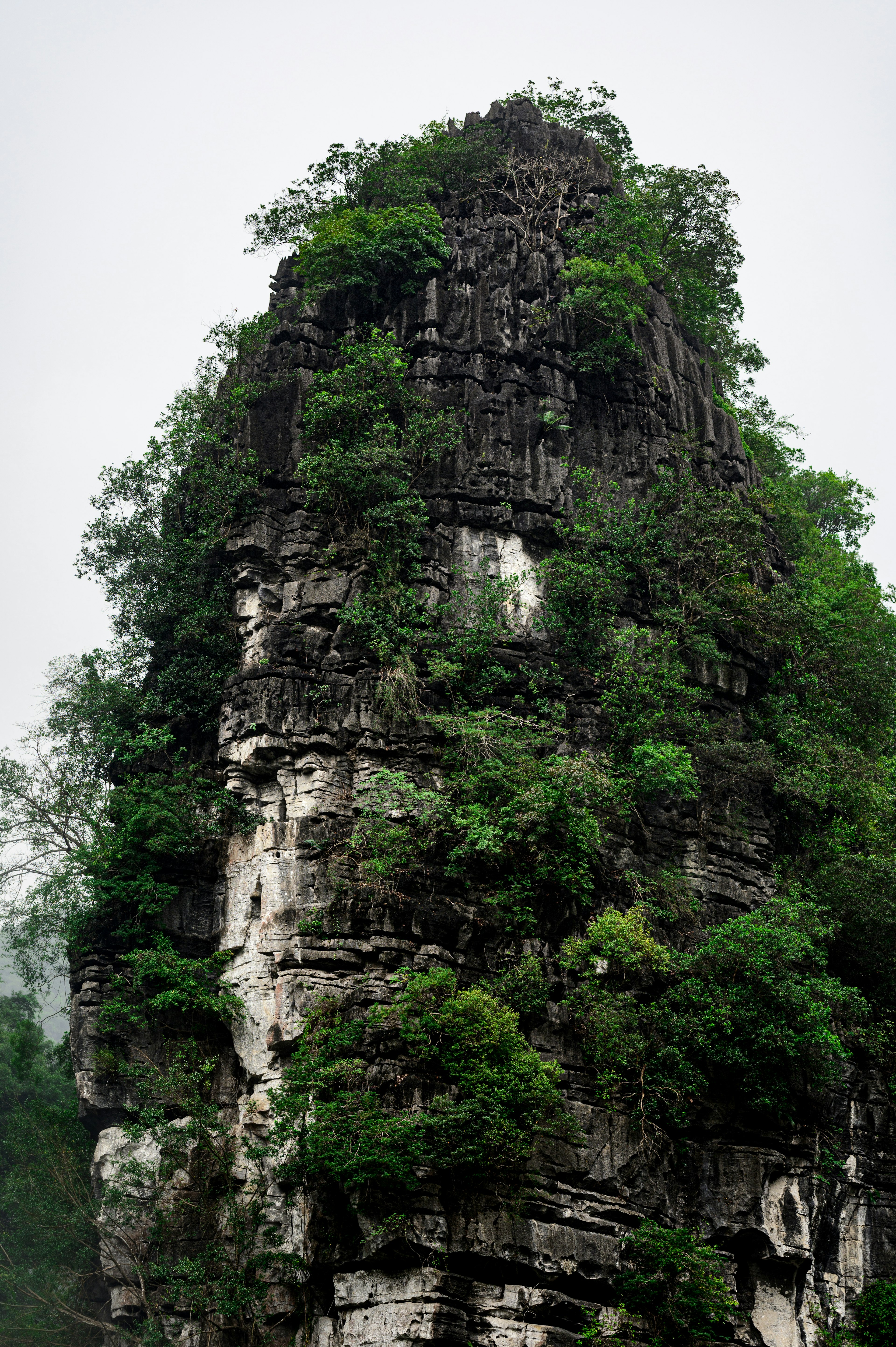 Tall rock formation covered in greenery