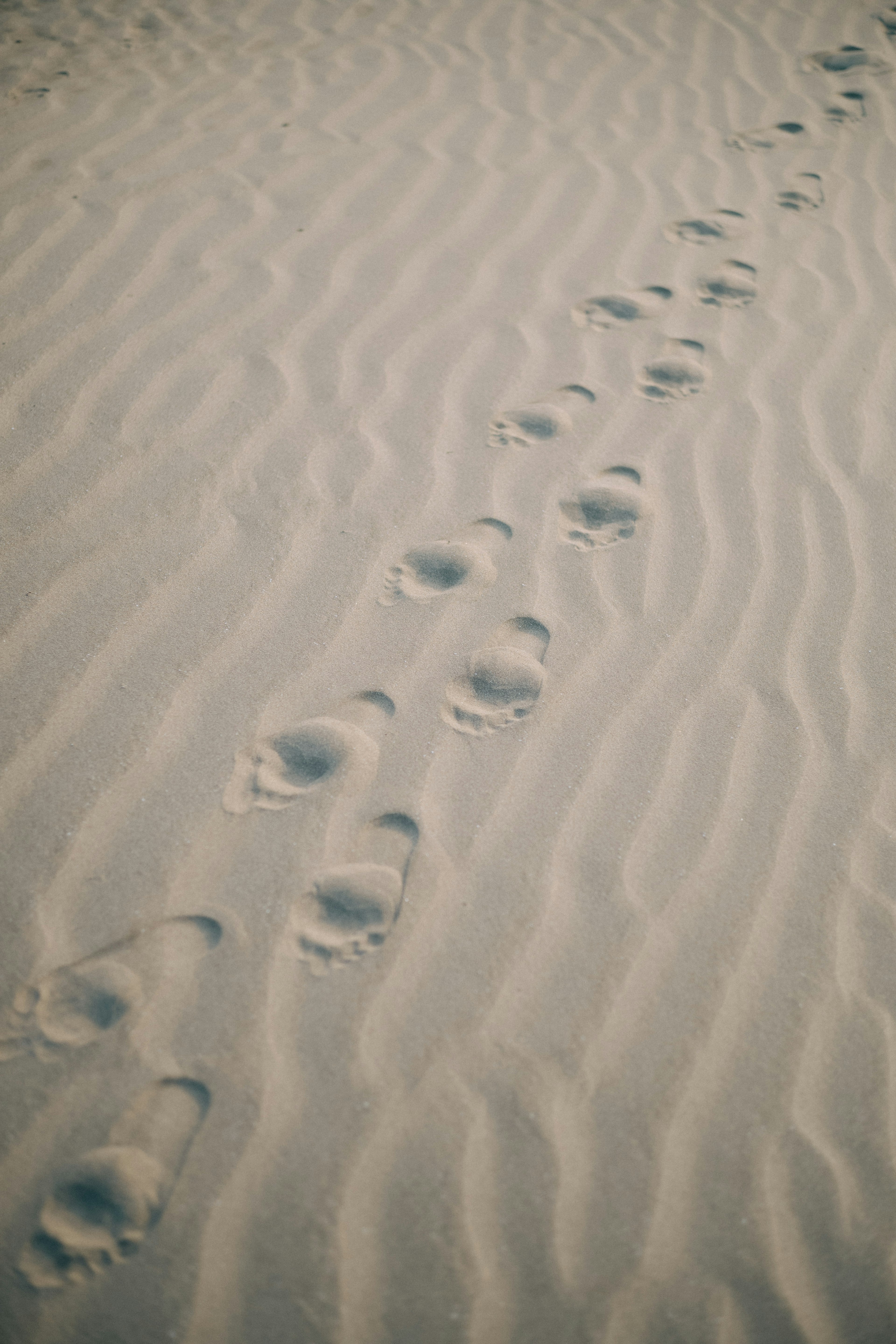 Footprints in the sand creating a trail