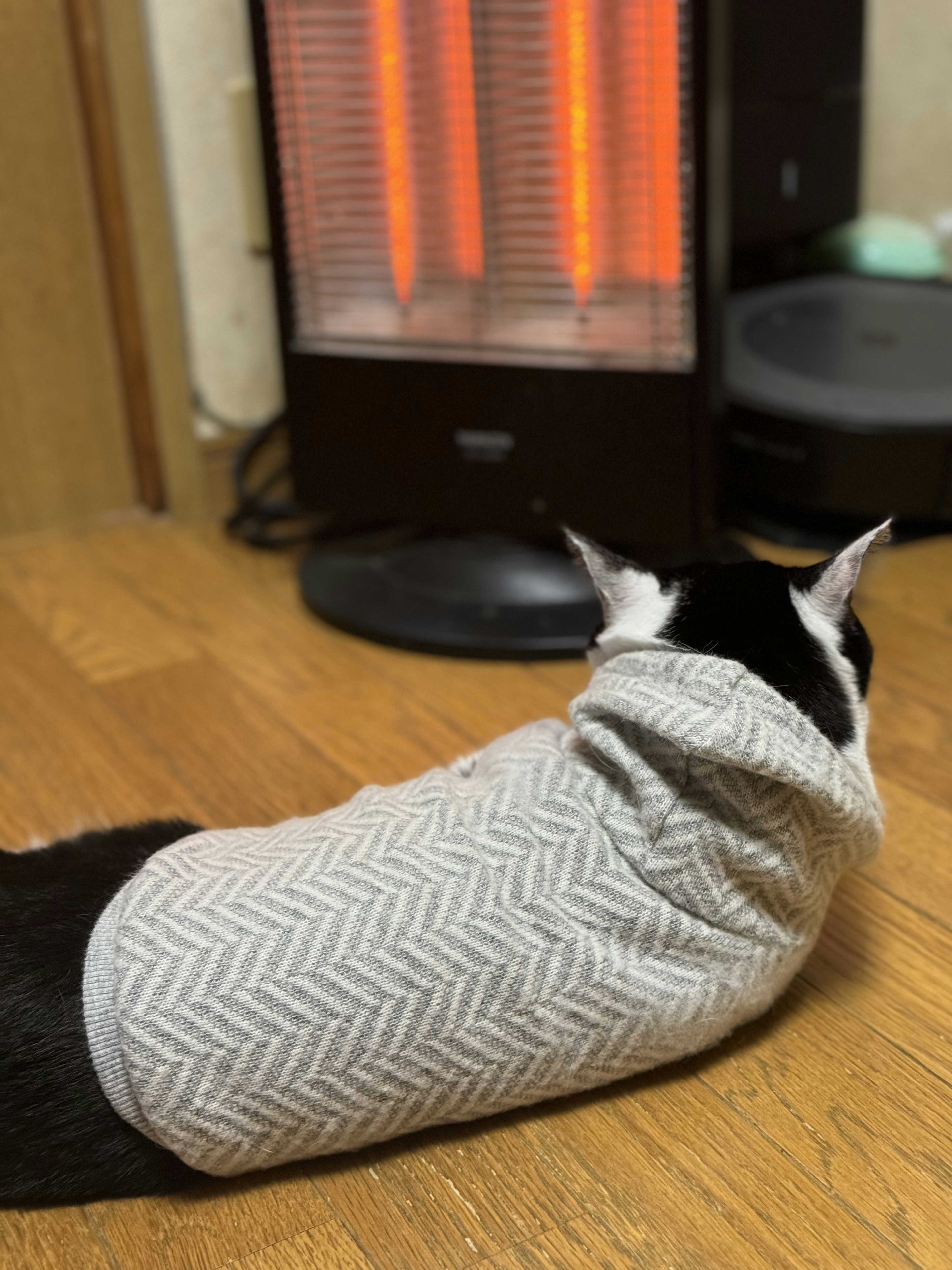 A cat wearing a sweater sitting in front of a heater