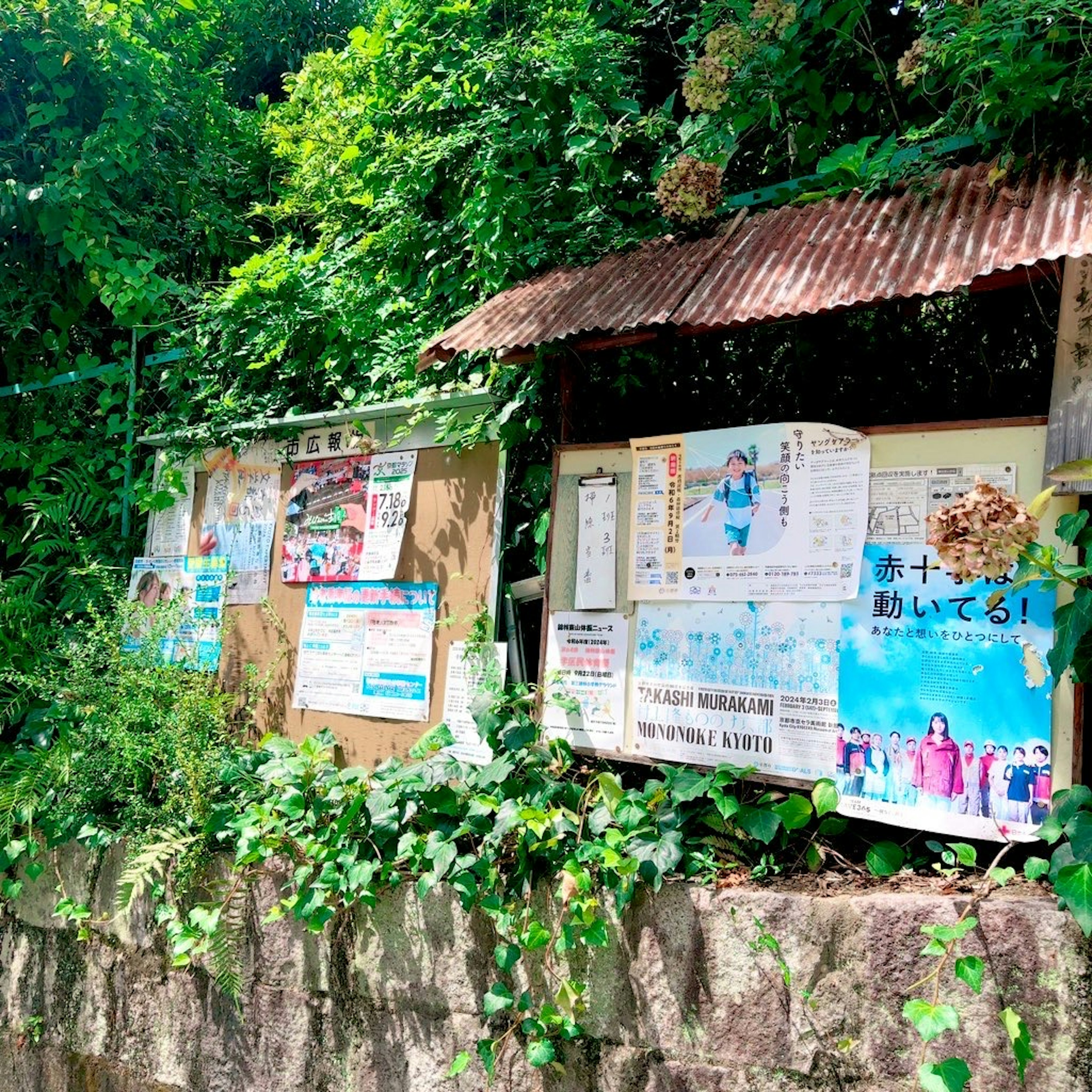 Overgrown bulletin boards with posters under a rusty roof