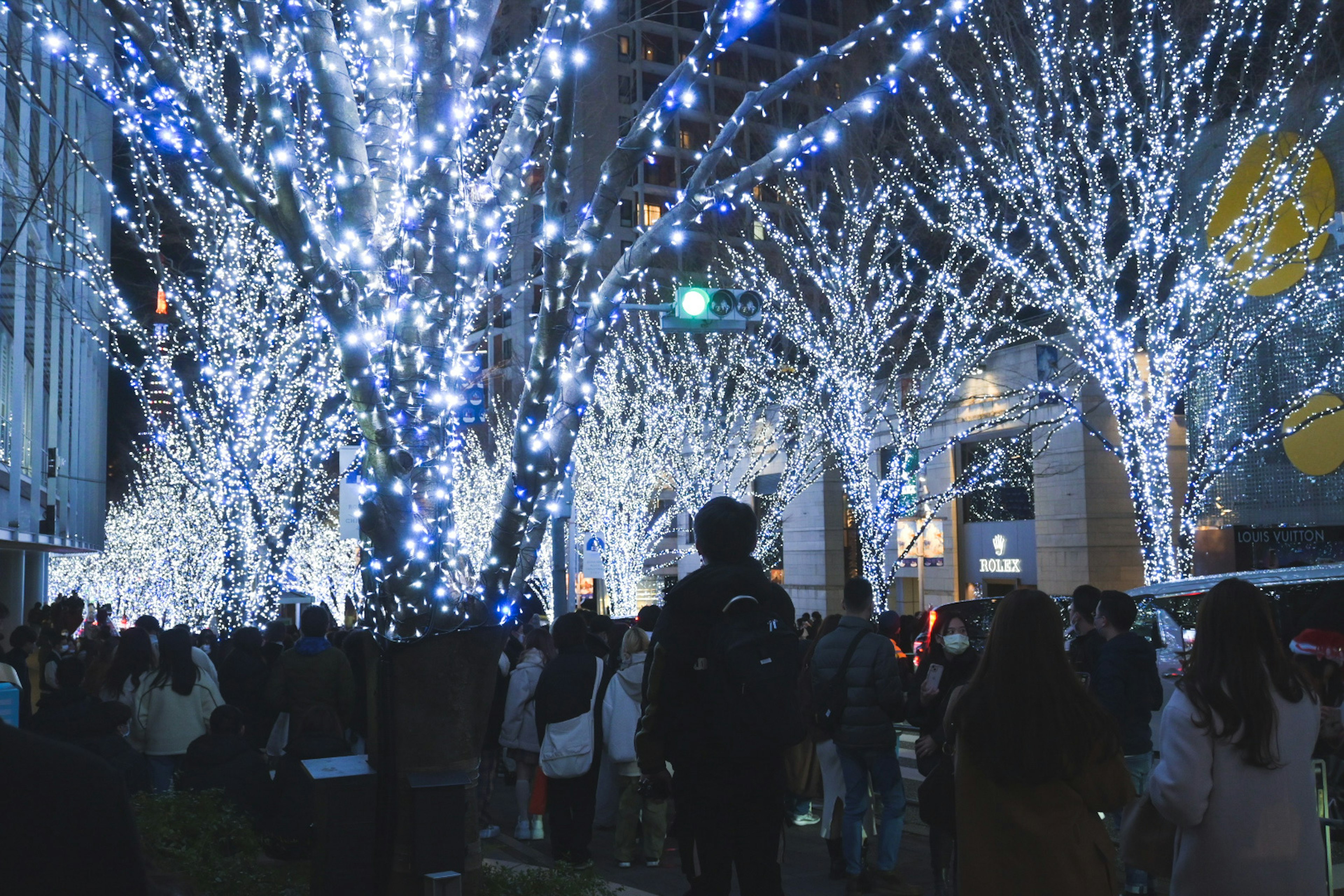 Crowd gathered among beautifully lit blue trees