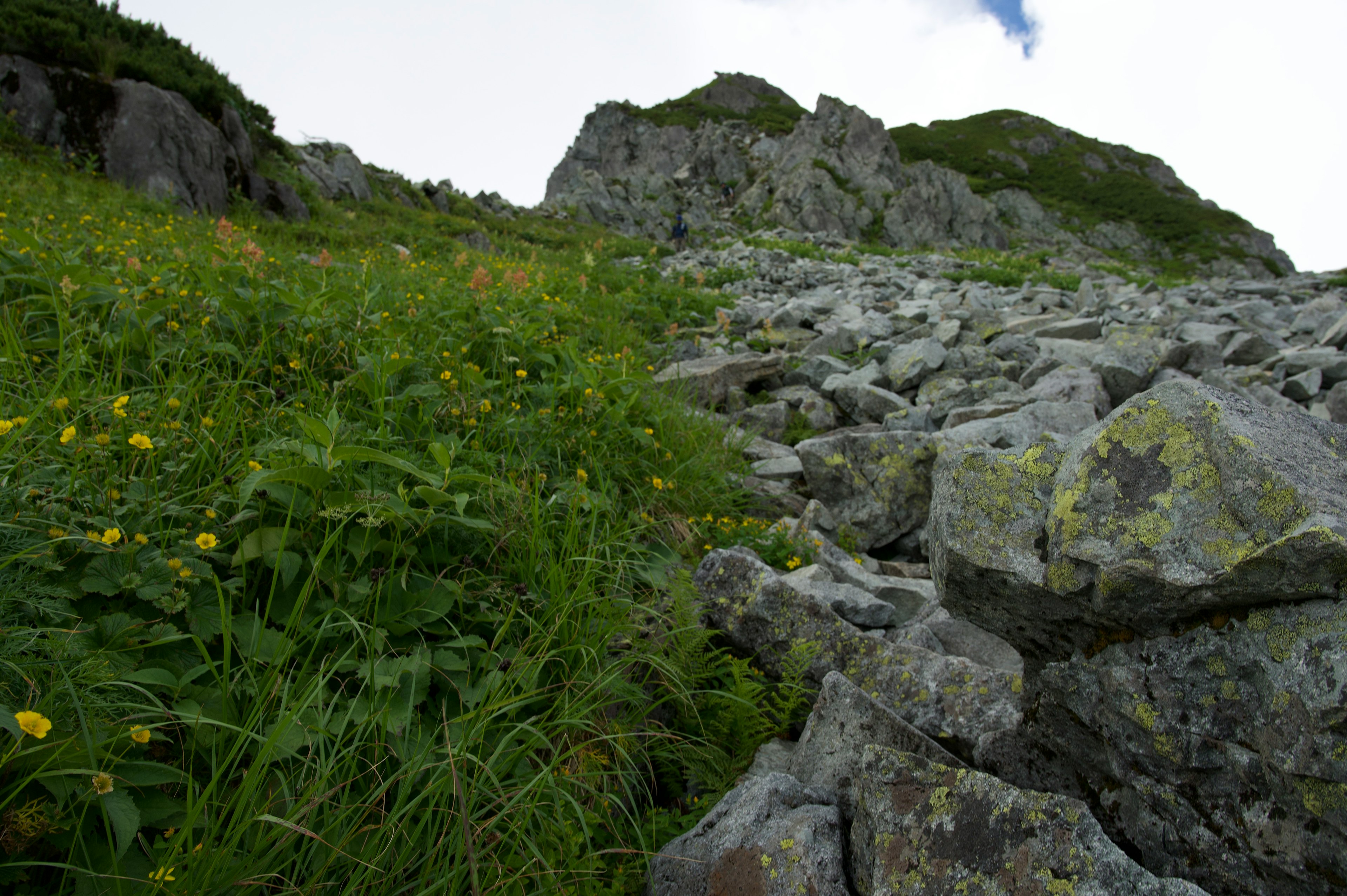 Mountain path with green grass and rocks